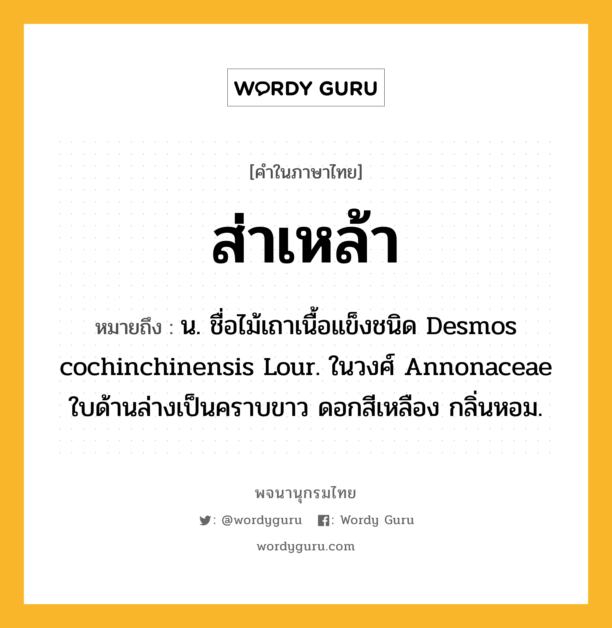 ส่าเหล้า หมายถึงอะไร?, คำในภาษาไทย ส่าเหล้า หมายถึง น. ชื่อไม้เถาเนื้อแข็งชนิด Desmos cochinchinensis Lour. ในวงศ์ Annonaceae ใบด้านล่างเป็นคราบขาว ดอกสีเหลือง กลิ่นหอม.