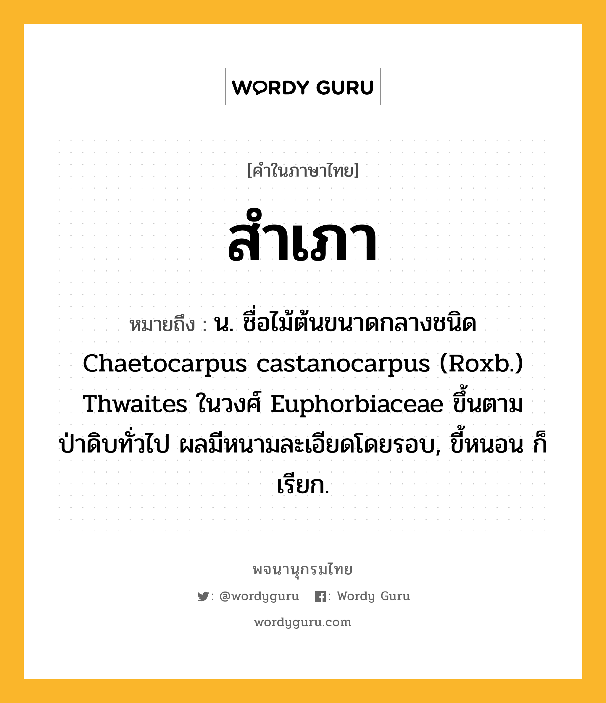 สำเภา ความหมาย หมายถึงอะไร?, คำในภาษาไทย สำเภา หมายถึง น. ชื่อไม้ต้นขนาดกลางชนิด Chaetocarpus castanocarpus (Roxb.) Thwaites ในวงศ์ Euphorbiaceae ขึ้นตามป่าดิบทั่วไป ผลมีหนามละเอียดโดยรอบ, ขี้หนอน ก็เรียก.