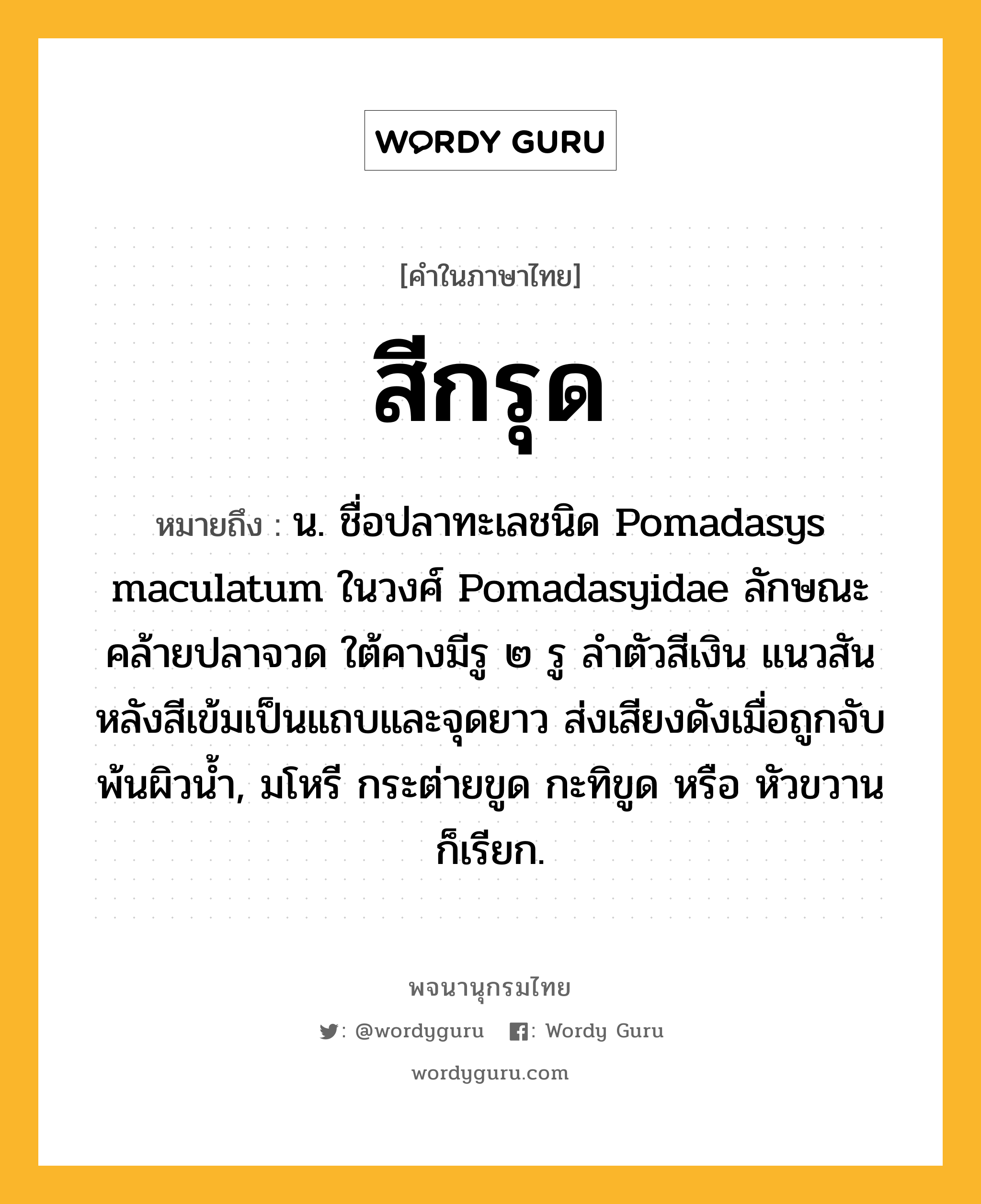 สีกรุด หมายถึงอะไร?, คำในภาษาไทย สีกรุด หมายถึง น. ชื่อปลาทะเลชนิด Pomadasys maculatum ในวงศ์ Pomadasyidae ลักษณะคล้ายปลาจวด ใต้คางมีรู ๒ รู ลําตัวสีเงิน แนวสันหลังสีเข้มเป็นแถบและจุดยาว ส่งเสียงดังเมื่อถูกจับพ้นผิวนํ้า, มโหรี กระต่ายขูด กะทิขูด หรือ หัวขวาน ก็เรียก.