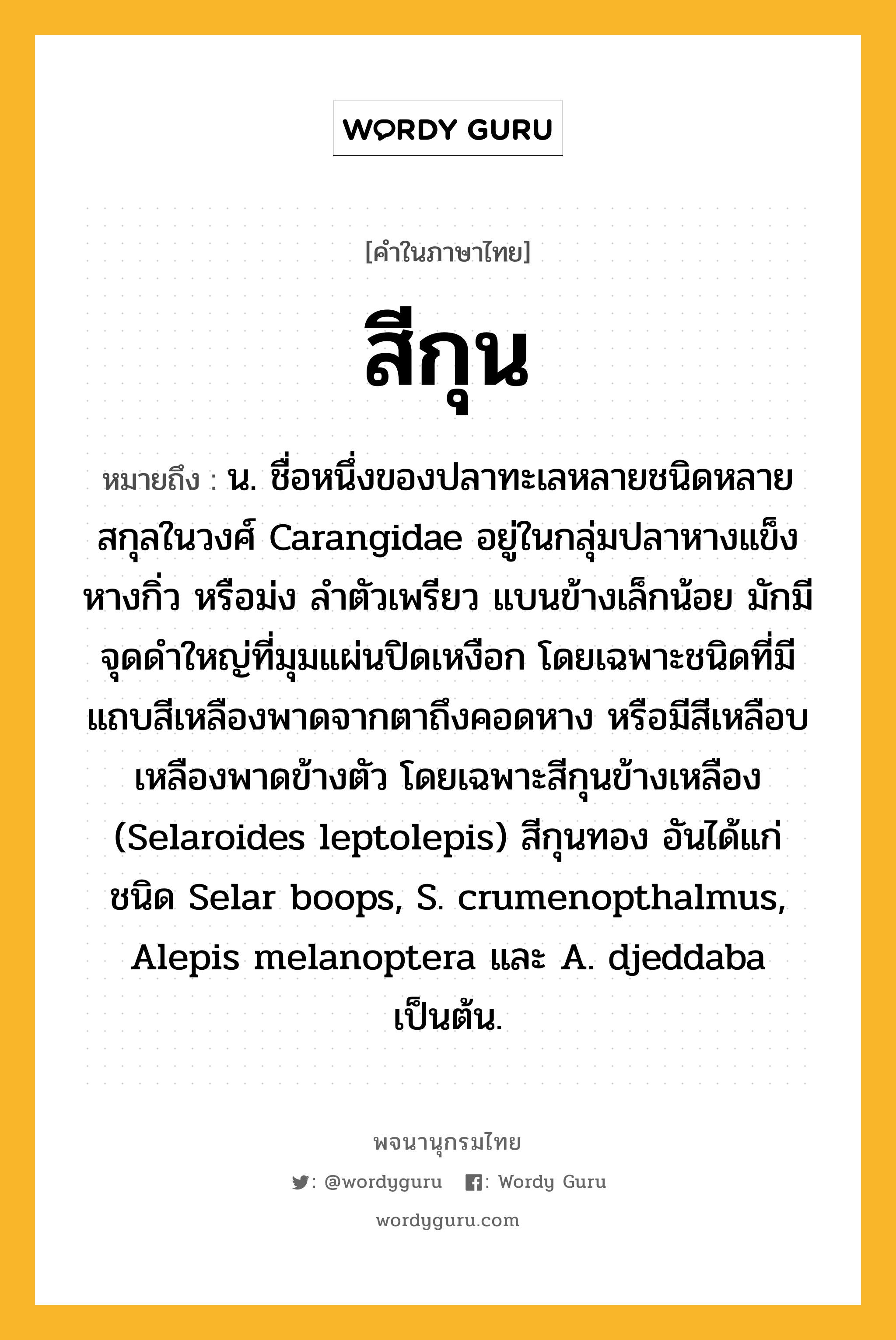 สีกุน หมายถึงอะไร?, คำในภาษาไทย สีกุน หมายถึง น. ชื่อหนึ่งของปลาทะเลหลายชนิดหลายสกุลในวงศ์ Carangidae อยู่ในกลุ่มปลาหางแข็ง หางกิ่ว หรือม่ง ลําตัวเพรียว แบนข้างเล็กน้อย มักมีจุดดําใหญ่ที่มุมแผ่นปิดเหงือก โดยเฉพาะชนิดที่มีแถบสีเหลืองพาดจากตาถึงคอดหาง หรือมีสีเหลือบเหลืองพาดข้างตัว โดยเฉพาะสีกุนข้างเหลือง (Selaroides leptolepis) สีกุนทอง อันได้แก่ ชนิด Selar boops, S. crumenopthalmus, Alepis melanoptera และ A. djeddaba เป็นต้น.