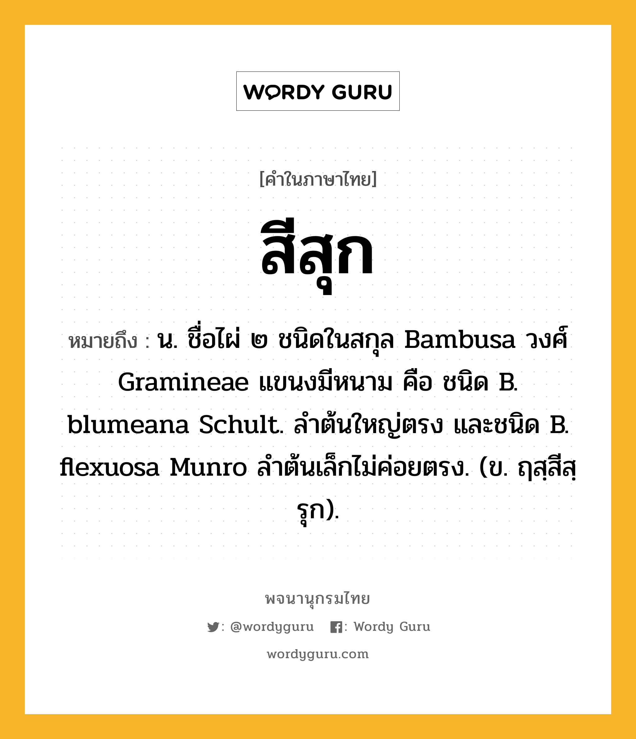 สีสุก ความหมาย หมายถึงอะไร?, คำในภาษาไทย สีสุก หมายถึง น. ชื่อไผ่ ๒ ชนิดในสกุล Bambusa วงศ์ Gramineae แขนงมีหนาม คือ ชนิด B. blumeana Schult. ลําต้นใหญ่ตรง และชนิด B. flexuosa Munro ลําต้นเล็กไม่ค่อยตรง. (ข. ฤสฺสีสฺรุก).