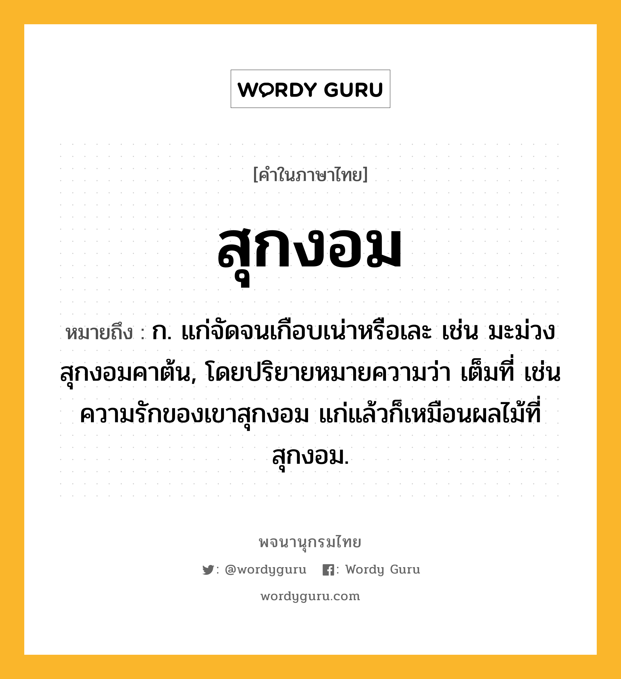 สุกงอม หมายถึงอะไร?, คำในภาษาไทย สุกงอม หมายถึง ก. แก่จัดจนเกือบเน่าหรือเละ เช่น มะม่วงสุกงอมคาต้น, โดยปริยายหมายความว่า เต็มที่ เช่น ความรักของเขาสุกงอม แก่แล้วก็เหมือนผลไม้ที่สุกงอม.