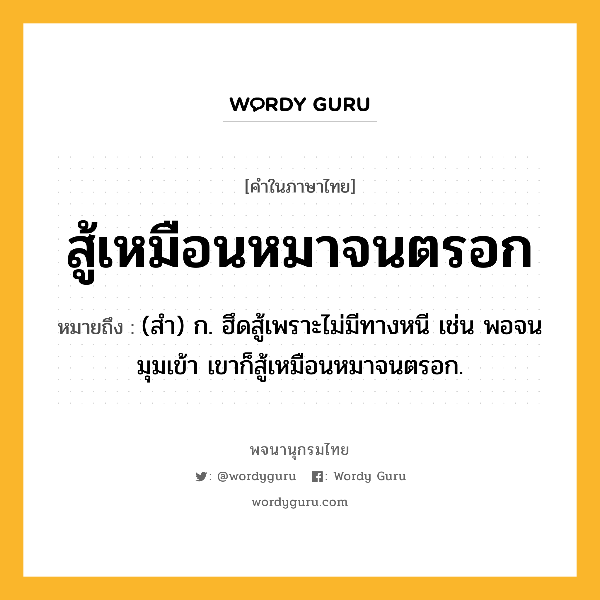 สู้เหมือนหมาจนตรอก หมายถึงอะไร?, คำในภาษาไทย สู้เหมือนหมาจนตรอก หมายถึง (สํา) ก. ฮึดสู้เพราะไม่มีทางหนี เช่น พอจนมุมเข้า เขาก็สู้เหมือนหมาจนตรอก.