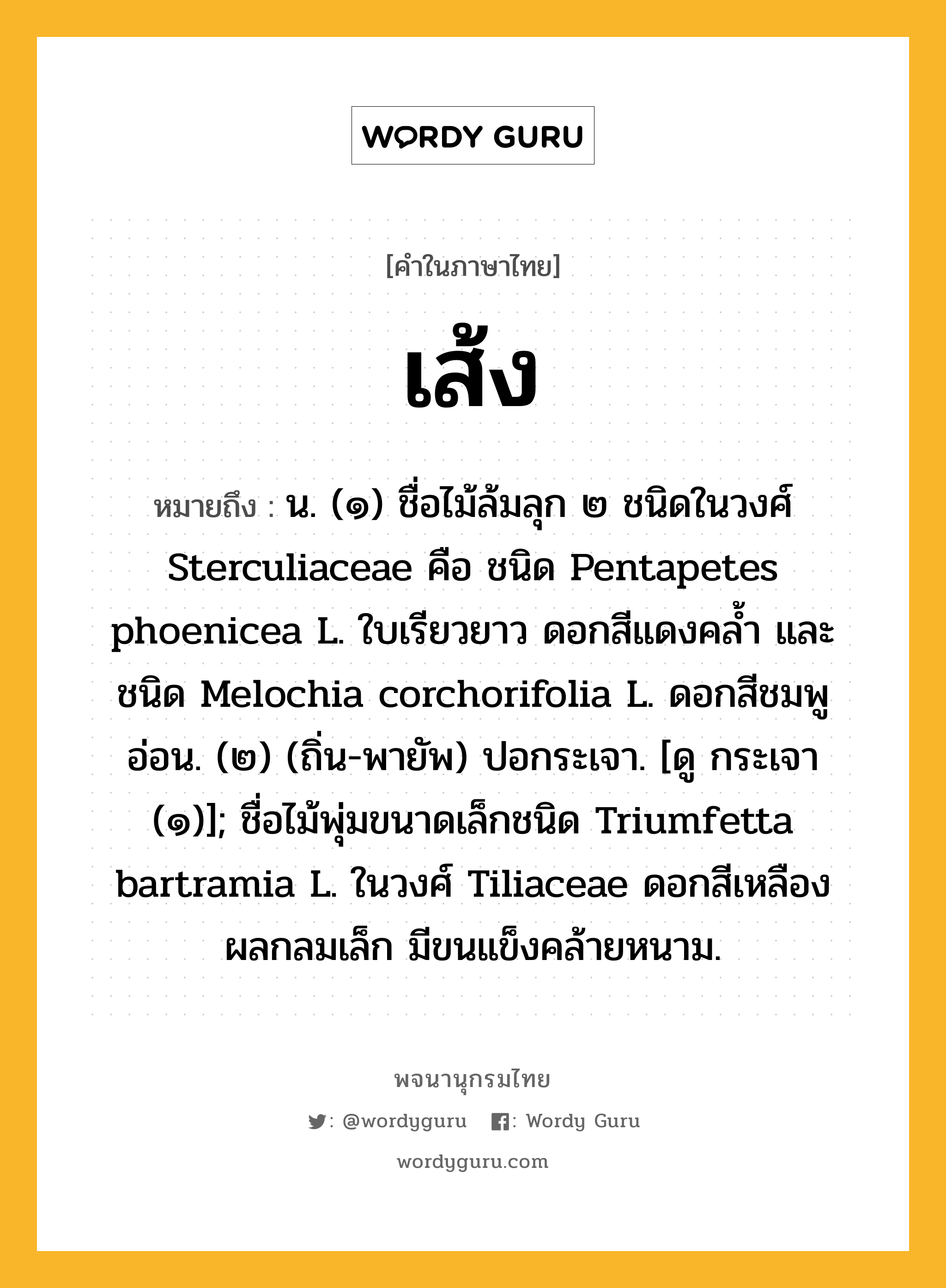 เส้ง หมายถึงอะไร?, คำในภาษาไทย เส้ง หมายถึง น. (๑) ชื่อไม้ล้มลุก ๒ ชนิดในวงศ์ Sterculiaceae คือ ชนิด Pentapetes phoenicea L. ใบเรียวยาว ดอกสีแดงคลํ้า และชนิด Melochia corchorifolia L. ดอกสีชมพูอ่อน. (๒) (ถิ่น-พายัพ) ปอกระเจา. [ดู กระเจา (๑)]; ชื่อไม้พุ่มขนาดเล็กชนิด Triumfetta bartramia L. ในวงศ์ Tiliaceae ดอกสีเหลือง ผลกลมเล็ก มีขนแข็งคล้ายหนาม.