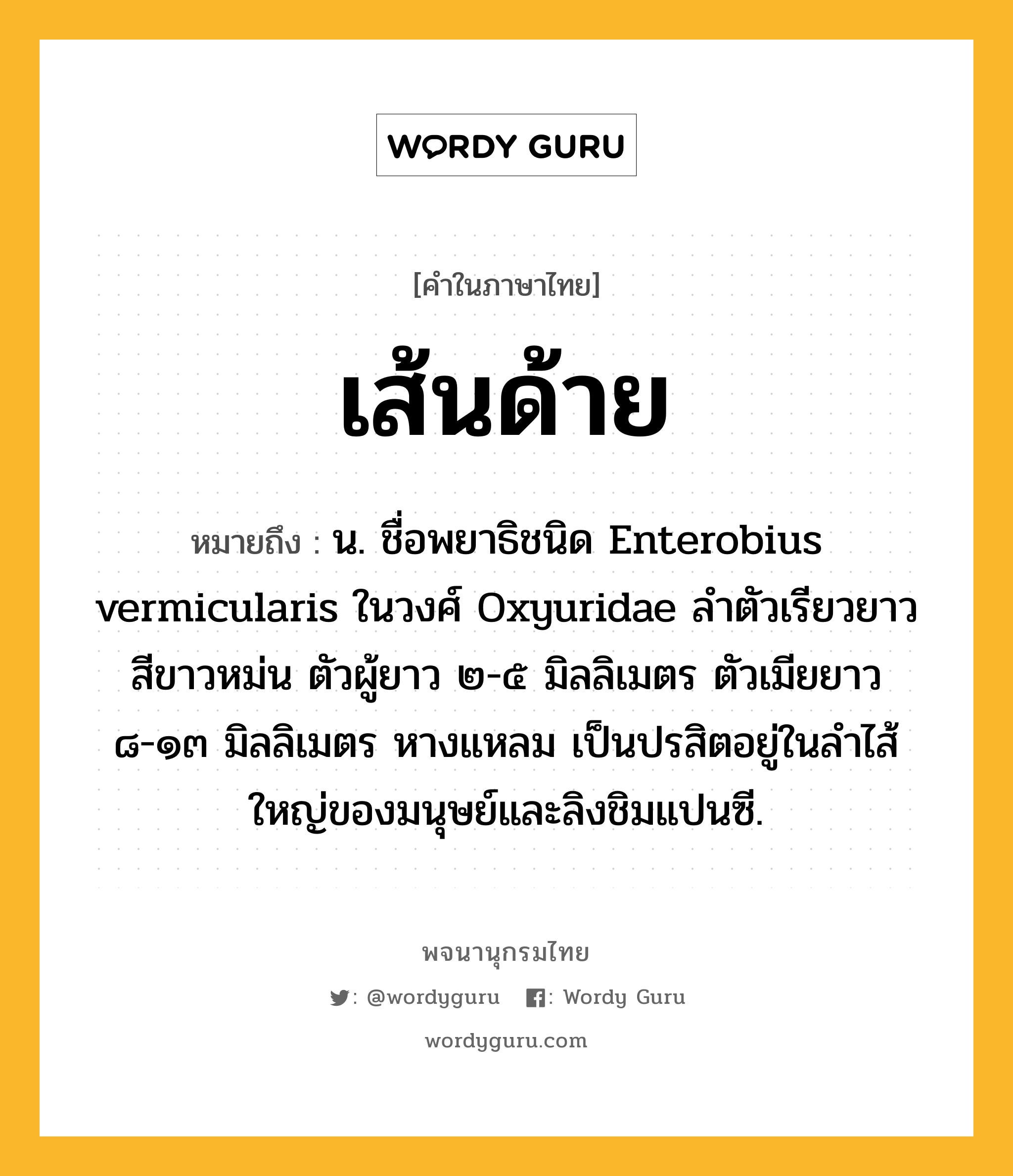 เส้นด้าย ความหมาย หมายถึงอะไร?, คำในภาษาไทย เส้นด้าย หมายถึง น. ชื่อพยาธิชนิด Enterobius vermicularis ในวงศ์ Oxyuridae ลําตัวเรียวยาว สีขาวหม่น ตัวผู้ยาว ๒-๕ มิลลิเมตร ตัวเมียยาว ๘-๑๓ มิลลิเมตร หางแหลม เป็นปรสิตอยู่ในลําไส้ใหญ่ของมนุษย์และลิงชิมแปนซี.