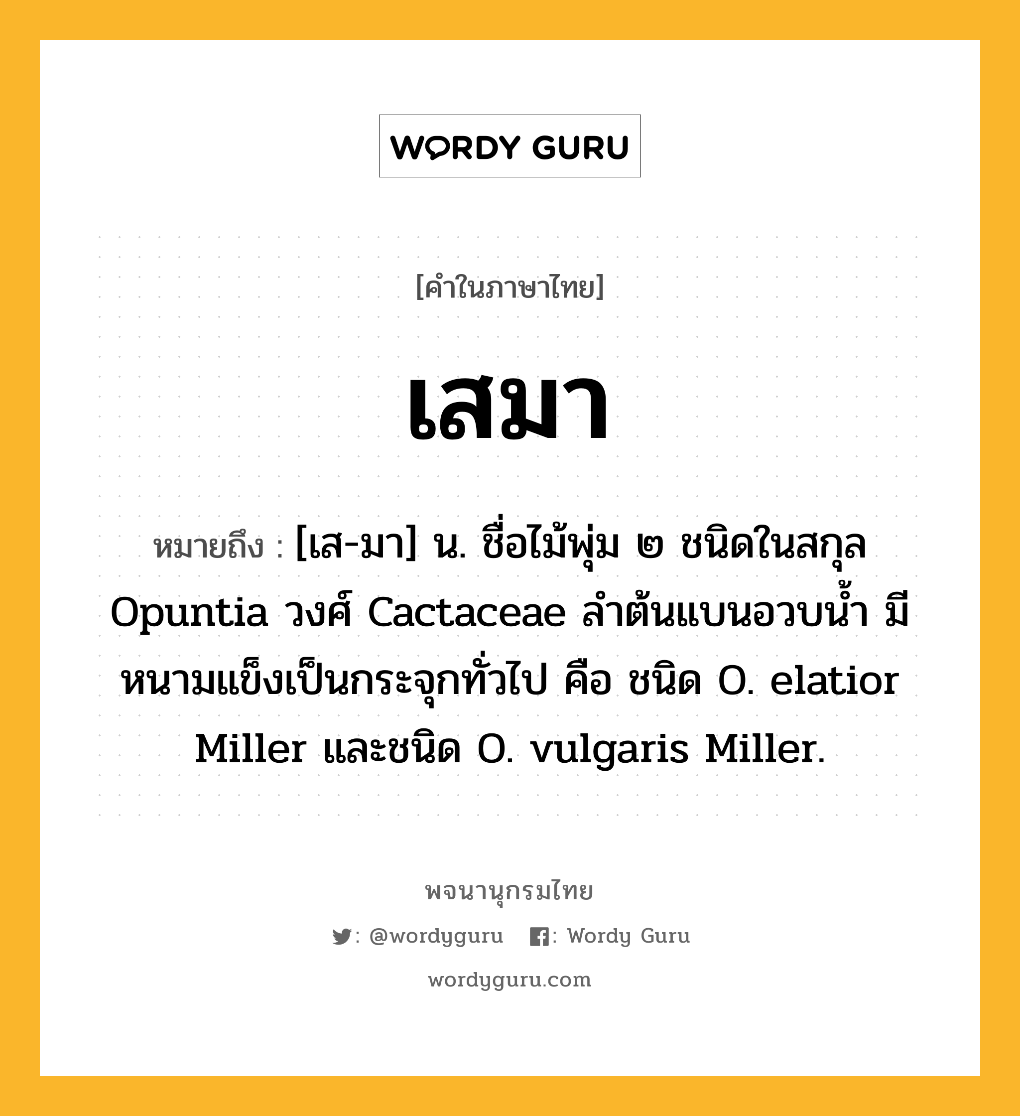 เสมา หมายถึงอะไร?, คำในภาษาไทย เสมา หมายถึง [เส-มา] น. ชื่อไม้พุ่ม ๒ ชนิดในสกุล Opuntia วงศ์ Cactaceae ลําต้นแบนอวบนํ้า มีหนามแข็งเป็นกระจุกทั่วไป คือ ชนิด O. elatior Miller และชนิด O. vulgaris Miller.