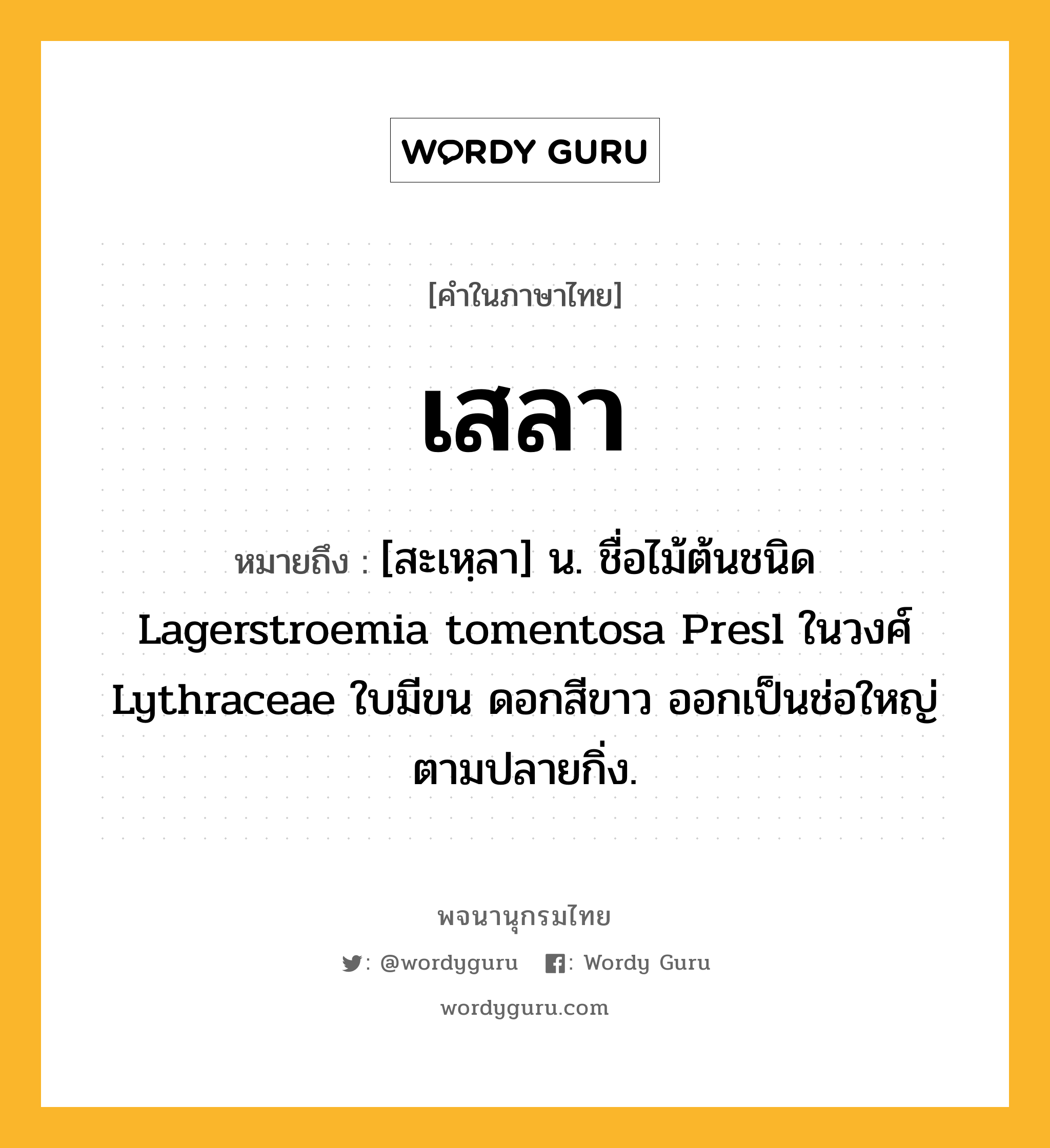 เสลา ความหมาย หมายถึงอะไร?, คำในภาษาไทย เสลา หมายถึง [สะเหฺลา] น. ชื่อไม้ต้นชนิด Lagerstroemia tomentosa Presl ในวงศ์ Lythraceae ใบมีขน ดอกสีขาว ออกเป็นช่อใหญ่ตามปลายกิ่ง.