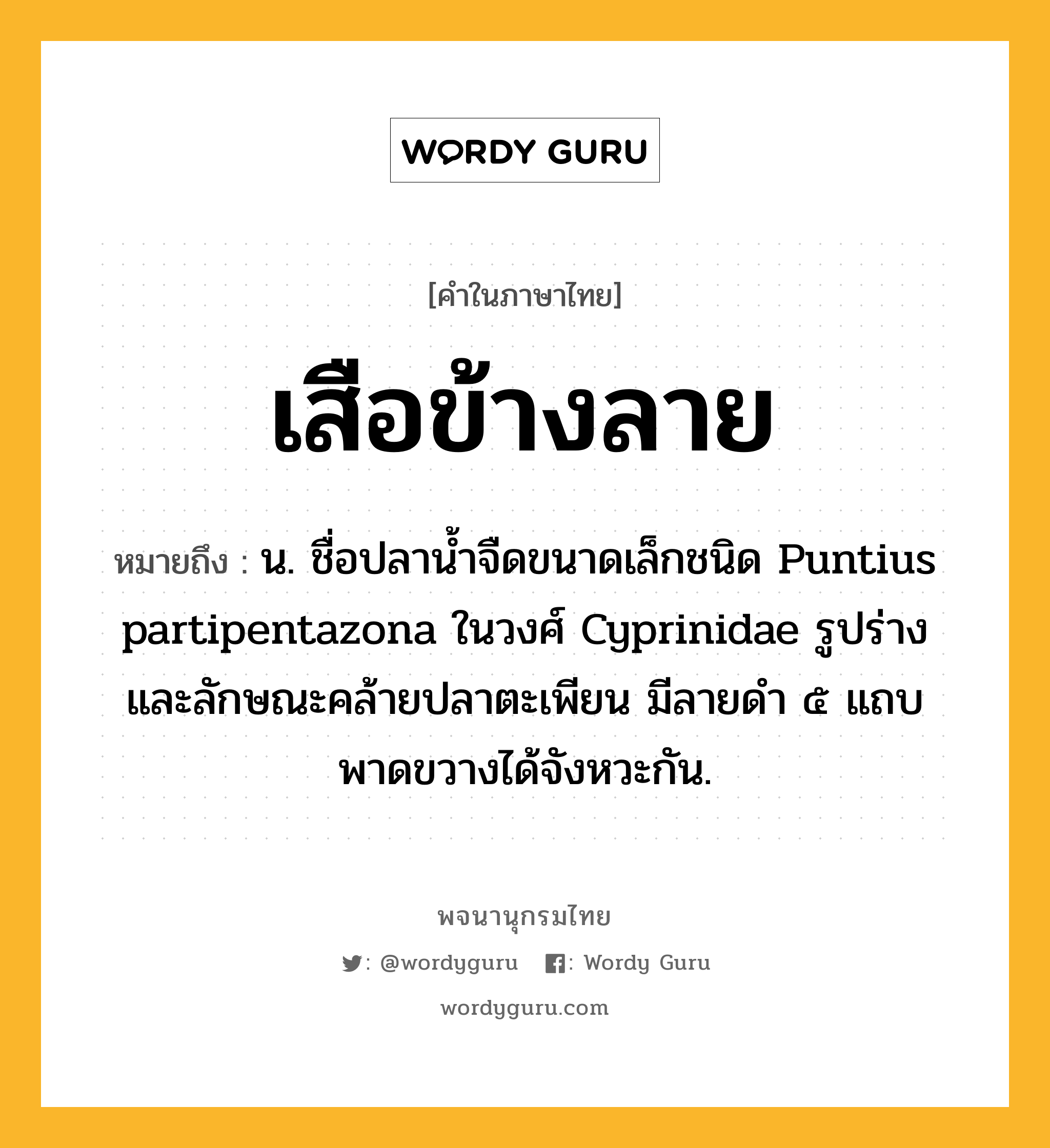 เสือข้างลาย หมายถึงอะไร?, คำในภาษาไทย เสือข้างลาย หมายถึง น. ชื่อปลาน้ำจืดขนาดเล็กชนิด Puntius partipentazona ในวงศ์ Cyprinidae รูปร่างและลักษณะคล้ายปลาตะเพียน มีลายดำ ๕ แถบ พาดขวางได้จังหวะกัน.