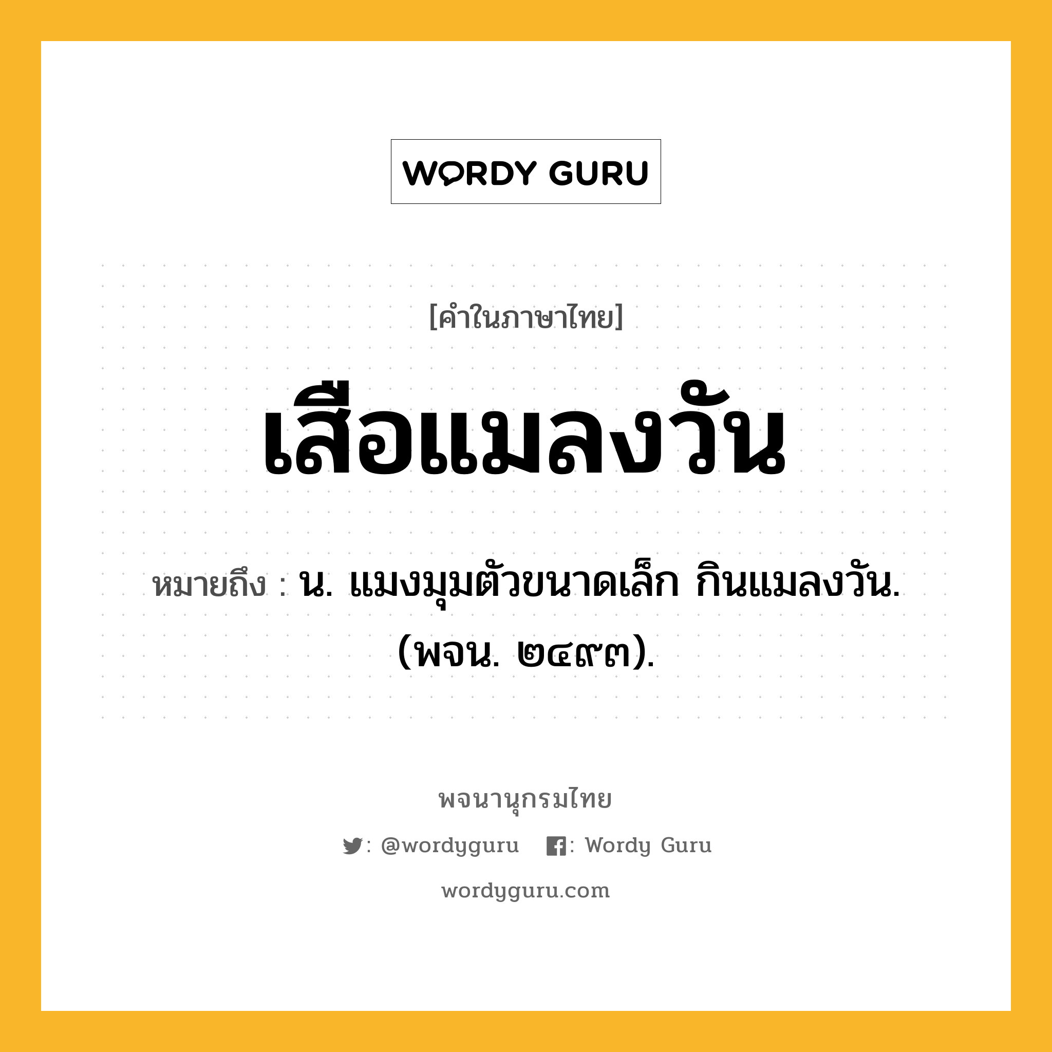 เสือแมลงวัน ความหมาย หมายถึงอะไร?, คำในภาษาไทย เสือแมลงวัน หมายถึง น. แมงมุมตัวขนาดเล็ก กินแมลงวัน. (พจน. ๒๔๙๓).