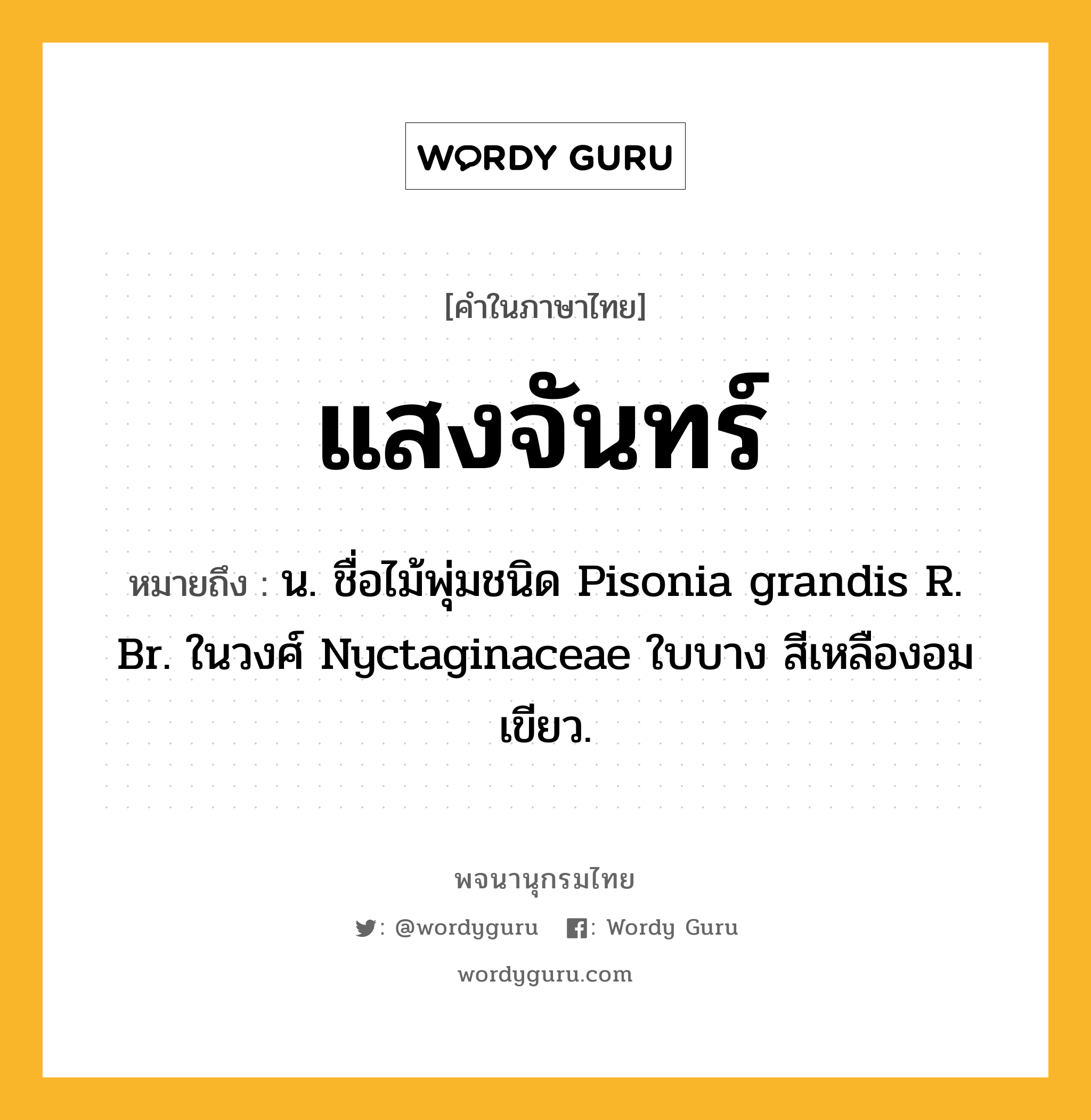 แสงจันทร์ หมายถึงอะไร?, คำในภาษาไทย แสงจันทร์ หมายถึง น. ชื่อไม้พุ่มชนิด Pisonia grandis R. Br. ในวงศ์ Nyctaginaceae ใบบาง สีเหลืองอมเขียว.