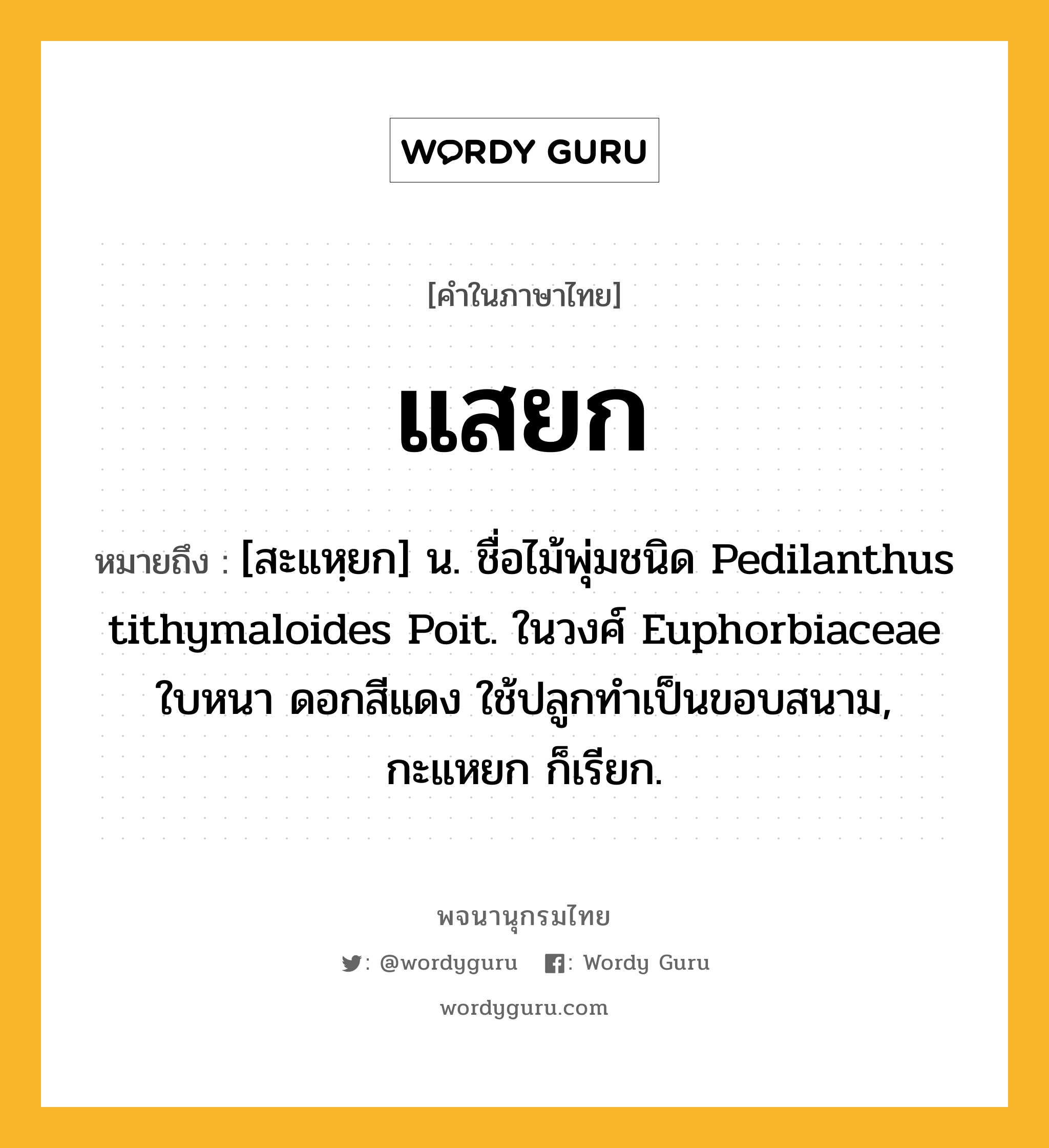 แสยก หมายถึงอะไร?, คำในภาษาไทย แสยก หมายถึง [สะแหฺยก] น. ชื่อไม้พุ่มชนิด Pedilanthus tithymaloides Poit. ในวงศ์ Euphorbiaceae ใบหนา ดอกสีแดง ใช้ปลูกทําเป็นขอบสนาม, กะแหยก ก็เรียก.