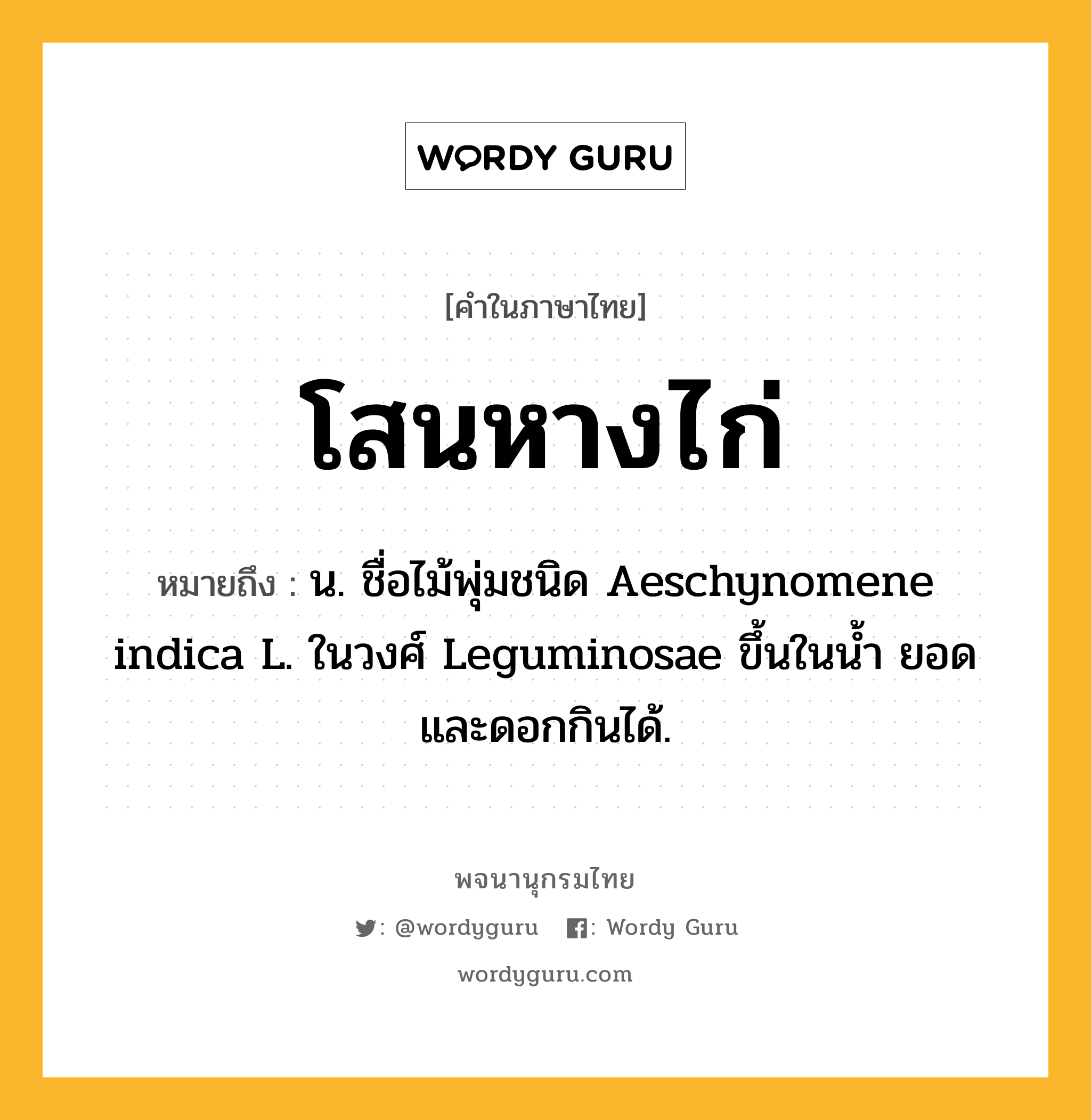 โสนหางไก่ ความหมาย หมายถึงอะไร?, คำในภาษาไทย โสนหางไก่ หมายถึง น. ชื่อไม้พุ่มชนิด Aeschynomene indica L. ในวงศ์ Leguminosae ขึ้นในน้ำ ยอดและดอกกินได้.