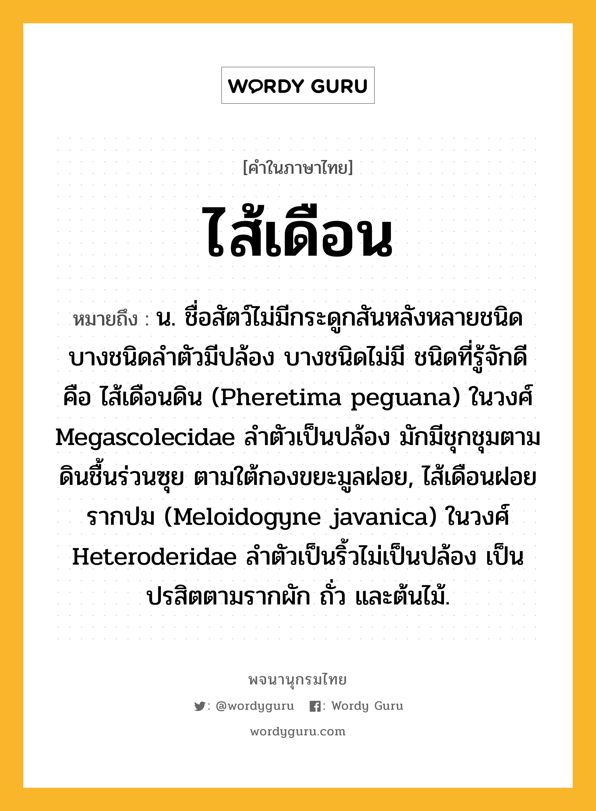 ไส้เดือน หมายถึงอะไร?, คำในภาษาไทย ไส้เดือน หมายถึง น. ชื่อสัตว์ไม่มีกระดูกสันหลังหลายชนิด บางชนิดลําตัวมีปล้อง บางชนิดไม่มี ชนิดที่รู้จักดี คือ ไส้เดือนดิน (Pheretima peguana) ในวงศ์ Megascolecidae ลําตัวเป็นปล้อง มักมีชุกชุมตามดินชื้นร่วนซุย ตามใต้กองขยะมูลฝอย, ไส้เดือนฝอยรากปม (Meloidogyne javanica) ในวงศ์ Heteroderidae ลําตัวเป็นริ้วไม่เป็นปล้อง เป็นปรสิตตามรากผัก ถั่ว และต้นไม้.