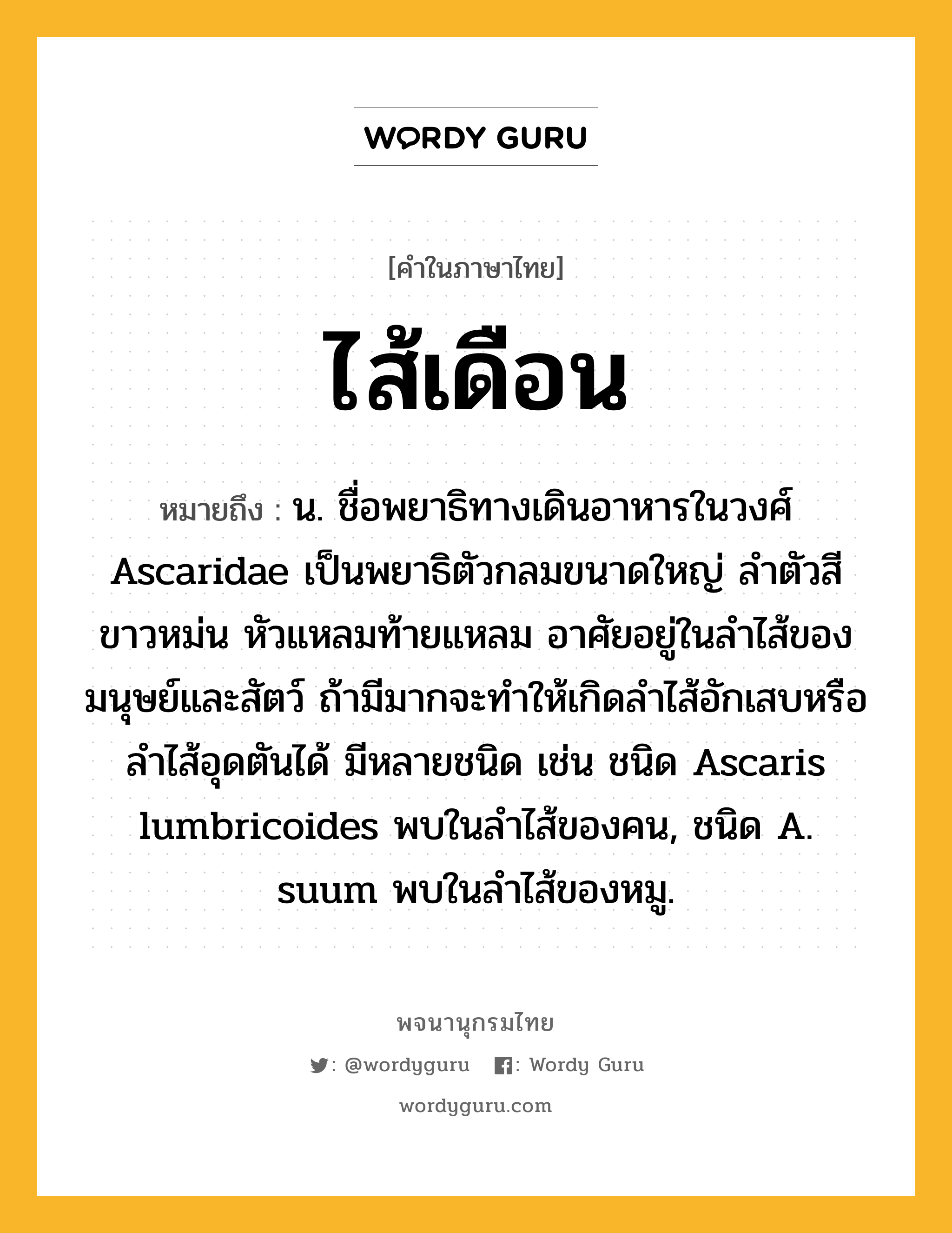 ไส้เดือน หมายถึงอะไร?, คำในภาษาไทย ไส้เดือน หมายถึง น. ชื่อพยาธิทางเดินอาหารในวงศ์ Ascaridae เป็นพยาธิตัวกลมขนาดใหญ่ ลําตัวสีขาวหม่น หัวแหลมท้ายแหลม อาศัยอยู่ในลําไส้ของมนุษย์และสัตว์ ถ้ามีมากจะทําให้เกิดลําไส้อักเสบหรือลําไส้อุดตันได้ มีหลายชนิด เช่น ชนิด Ascaris lumbricoides พบในลําไส้ของคน, ชนิด A. suum พบในลําไส้ของหมู.