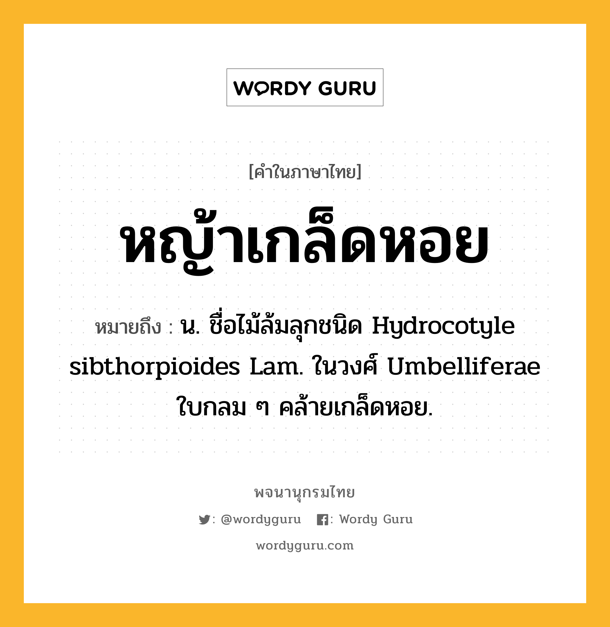 หญ้าเกล็ดหอย ความหมาย หมายถึงอะไร?, คำในภาษาไทย หญ้าเกล็ดหอย หมายถึง น. ชื่อไม้ล้มลุกชนิด Hydrocotyle sibthorpioides Lam. ในวงศ์ Umbelliferae ใบกลม ๆ คล้ายเกล็ดหอย.