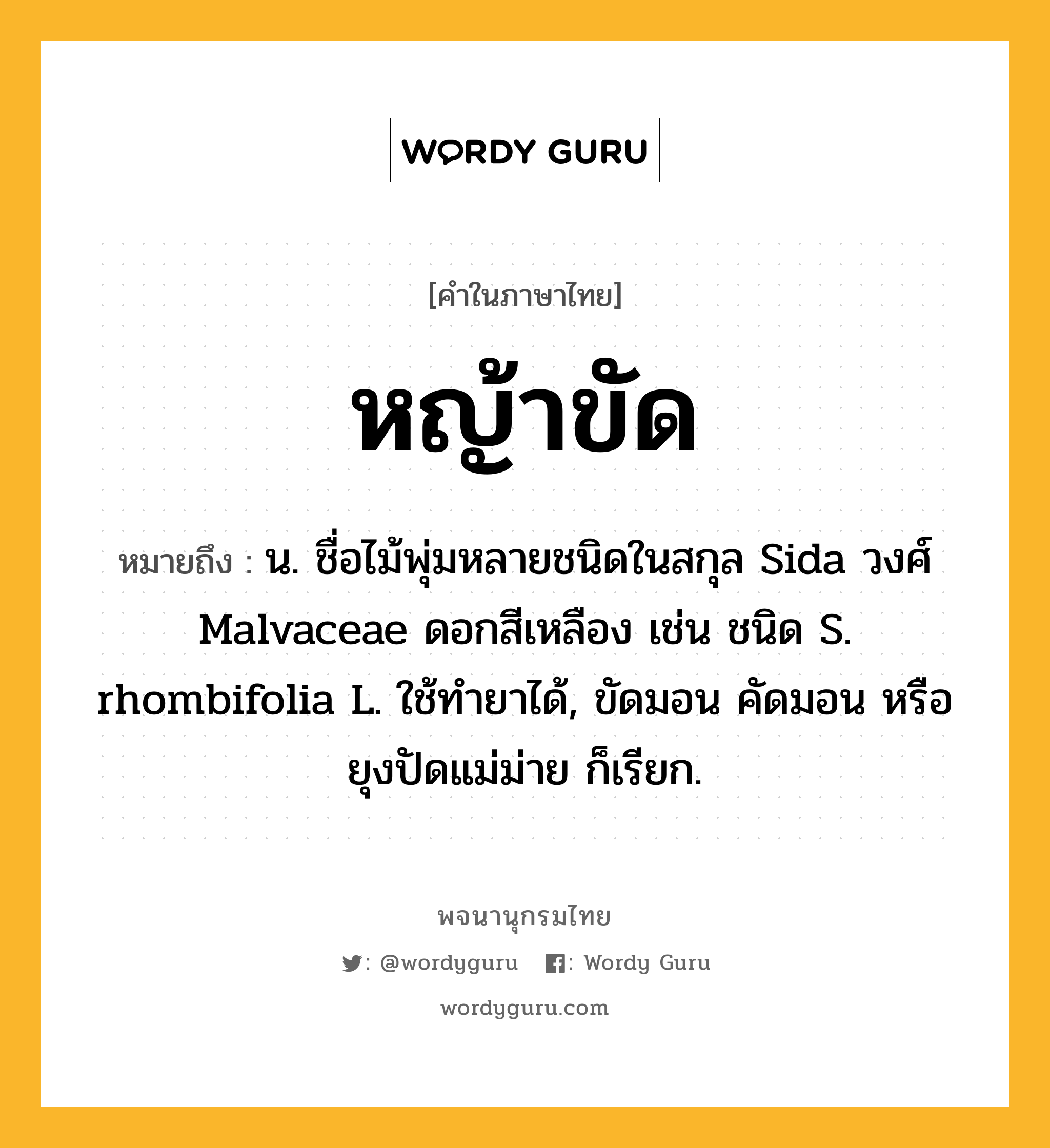 หญ้าขัด ความหมาย หมายถึงอะไร?, คำในภาษาไทย หญ้าขัด หมายถึง น. ชื่อไม้พุ่มหลายชนิดในสกุล Sida วงศ์ Malvaceae ดอกสีเหลือง เช่น ชนิด S. rhombifolia L. ใช้ทํายาได้, ขัดมอน คัดมอน หรือ ยุงปัดแม่ม่าย ก็เรียก.