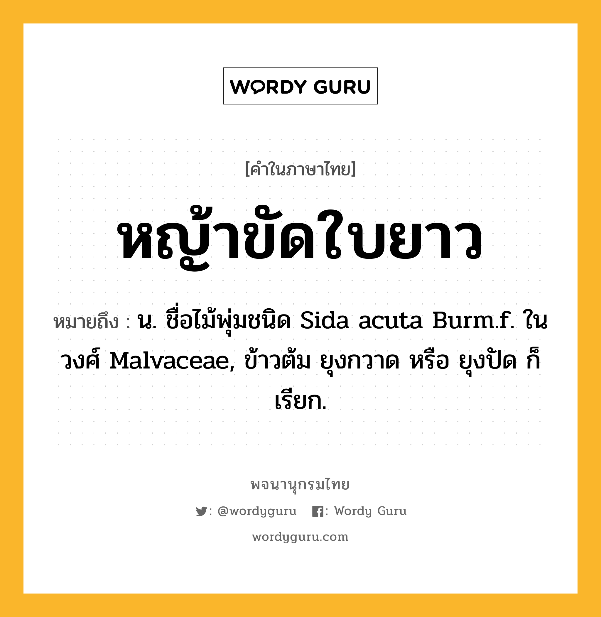 หญ้าขัดใบยาว ความหมาย หมายถึงอะไร?, คำในภาษาไทย หญ้าขัดใบยาว หมายถึง น. ชื่อไม้พุ่มชนิด Sida acuta Burm.f. ในวงศ์ Malvaceae, ข้าวต้ม ยุงกวาด หรือ ยุงปัด ก็เรียก.