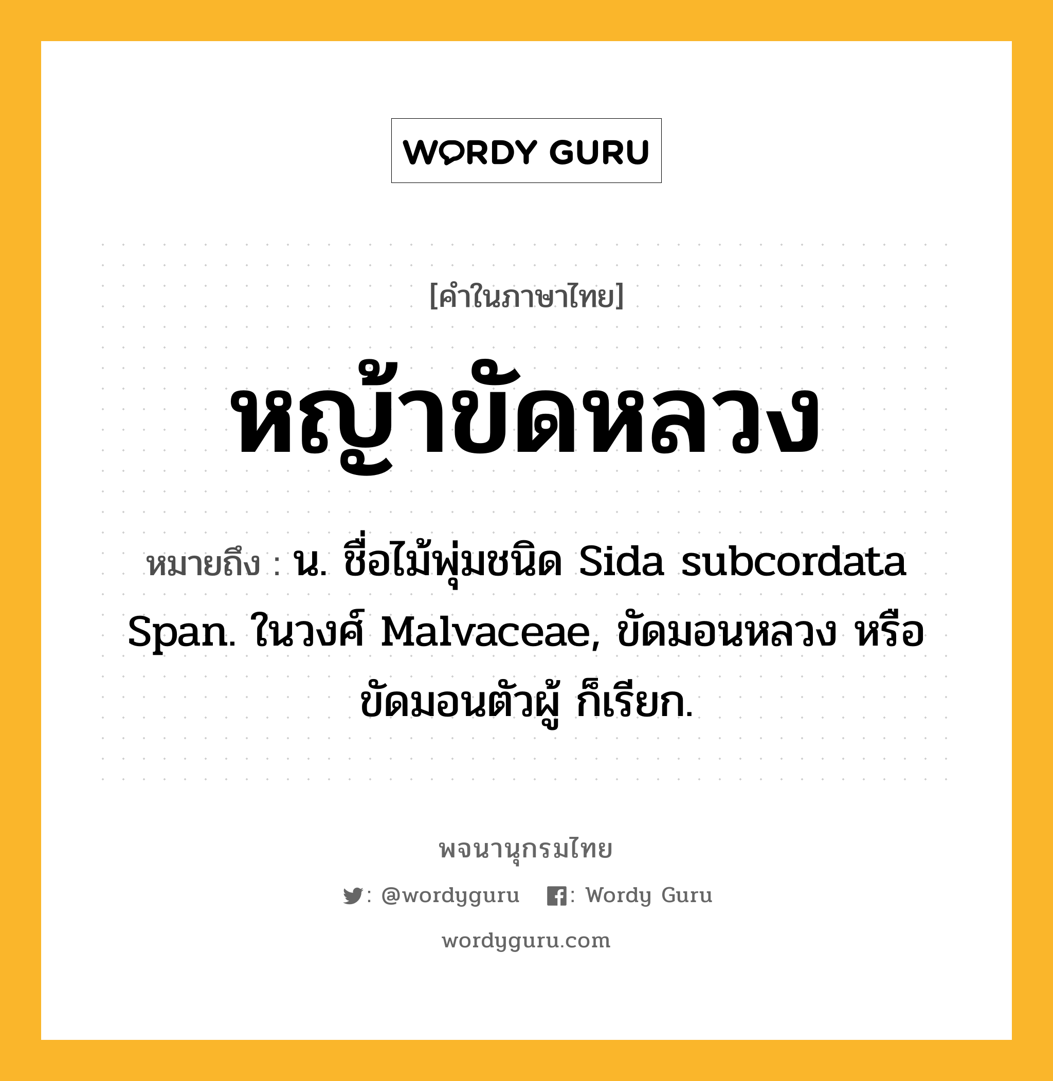 หญ้าขัดหลวง หมายถึงอะไร?, คำในภาษาไทย หญ้าขัดหลวง หมายถึง น. ชื่อไม้พุ่มชนิด Sida subcordata Span. ในวงศ์ Malvaceae, ขัดมอนหลวง หรือ ขัดมอนตัวผู้ ก็เรียก.