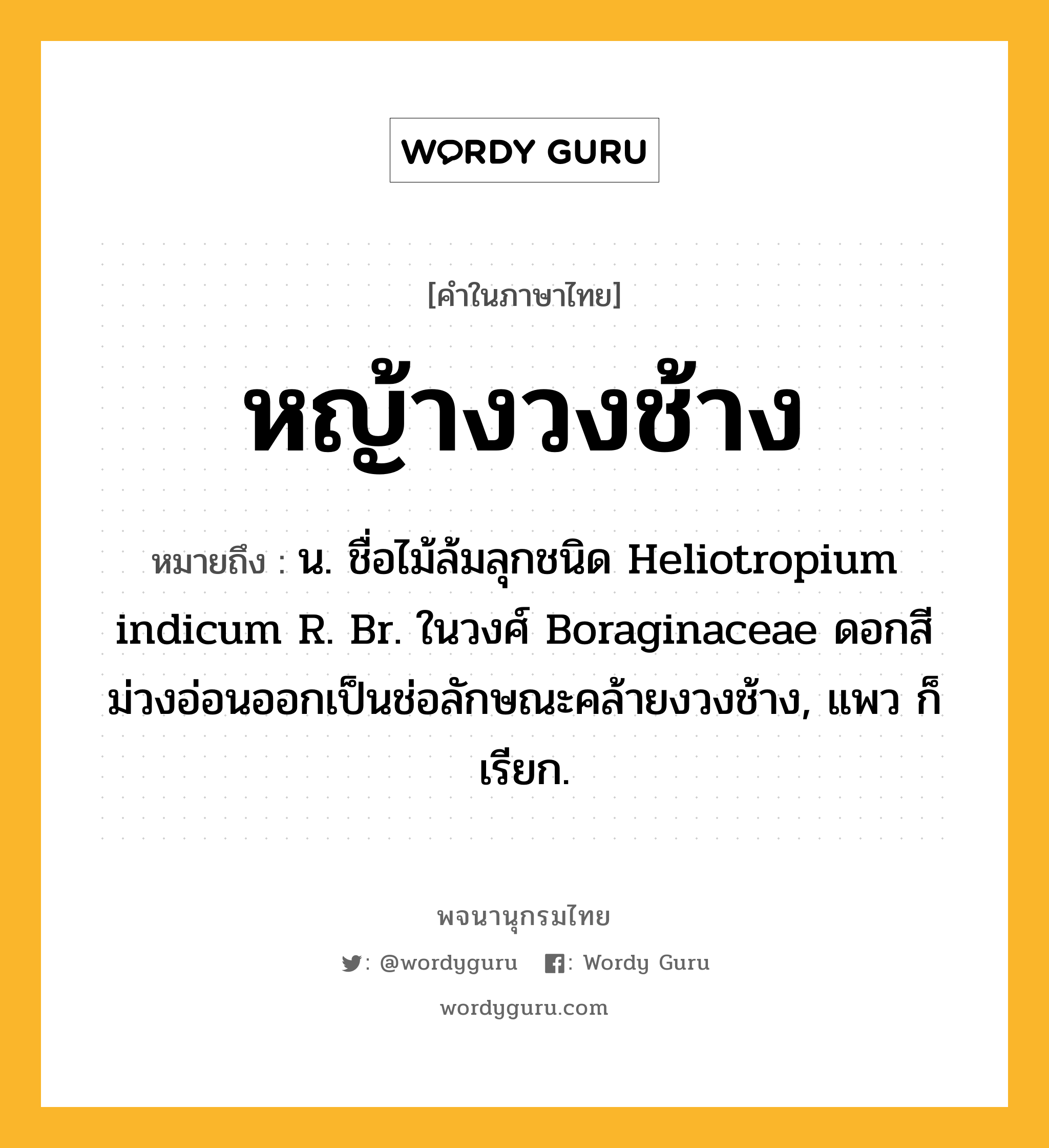 หญ้างวงช้าง หมายถึงอะไร?, คำในภาษาไทย หญ้างวงช้าง หมายถึง น. ชื่อไม้ล้มลุกชนิด Heliotropium indicum R. Br. ในวงศ์ Boraginaceae ดอกสีม่วงอ่อนออกเป็นช่อลักษณะคล้ายงวงช้าง, แพว ก็เรียก.