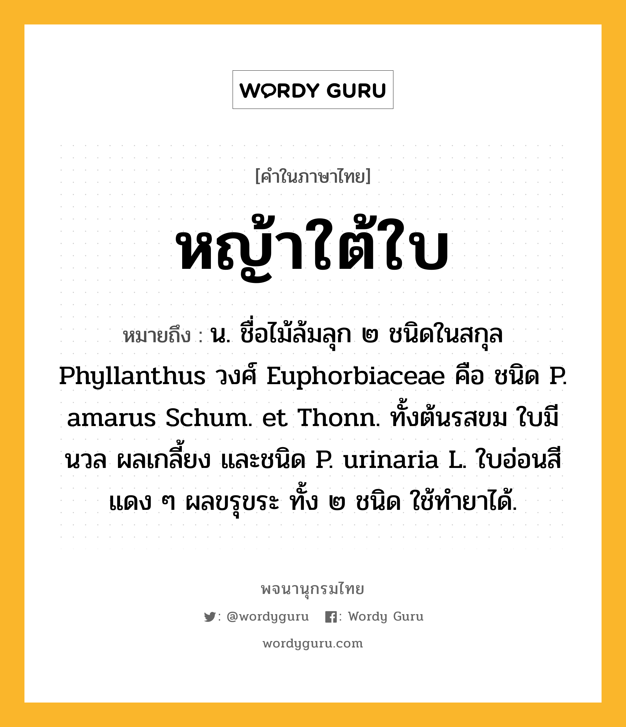 หญ้าใต้ใบ หมายถึงอะไร?, คำในภาษาไทย หญ้าใต้ใบ หมายถึง น. ชื่อไม้ล้มลุก ๒ ชนิดในสกุล Phyllanthus วงศ์ Euphorbiaceae คือ ชนิด P. amarus Schum. et Thonn. ทั้งต้นรสขม ใบมีนวล ผลเกลี้ยง และชนิด P. urinaria L. ใบอ่อนสีแดง ๆ ผลขรุขระ ทั้ง ๒ ชนิด ใช้ทํายาได้.