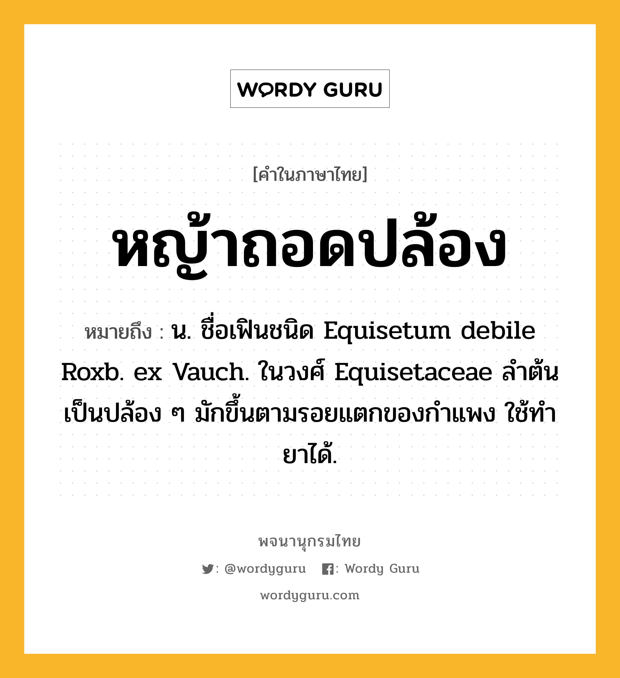 หญ้าถอดปล้อง หมายถึงอะไร?, คำในภาษาไทย หญ้าถอดปล้อง หมายถึง น. ชื่อเฟินชนิด Equisetum debile Roxb. ex Vauch. ในวงศ์ Equisetaceae ลําต้นเป็นปล้อง ๆ มักขึ้นตามรอยแตกของกําแพง ใช้ทํายาได้.