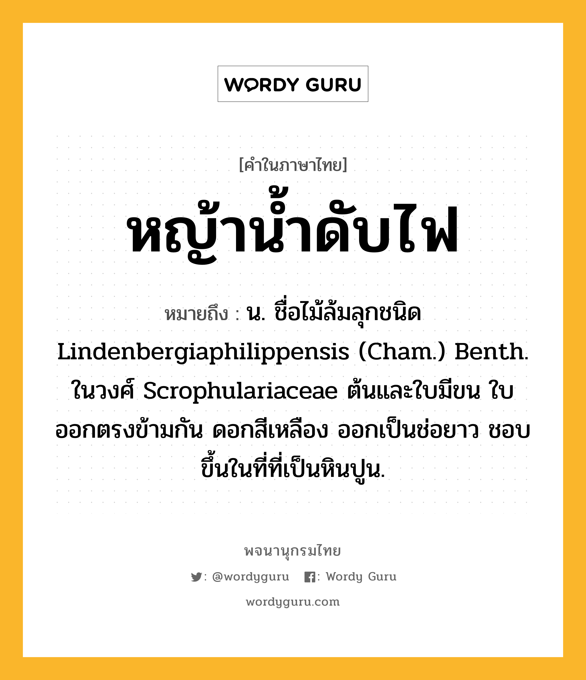 หญ้าน้ำดับไฟ ความหมาย หมายถึงอะไร?, คำในภาษาไทย หญ้าน้ำดับไฟ หมายถึง น. ชื่อไม้ล้มลุกชนิด Lindenbergiaphilippensis (Cham.) Benth. ในวงศ์ Scrophulariaceae ต้นและใบมีขน ใบออกตรงข้ามกัน ดอกสีเหลือง ออกเป็นช่อยาว ชอบขึ้นในที่ที่เป็นหินปูน.