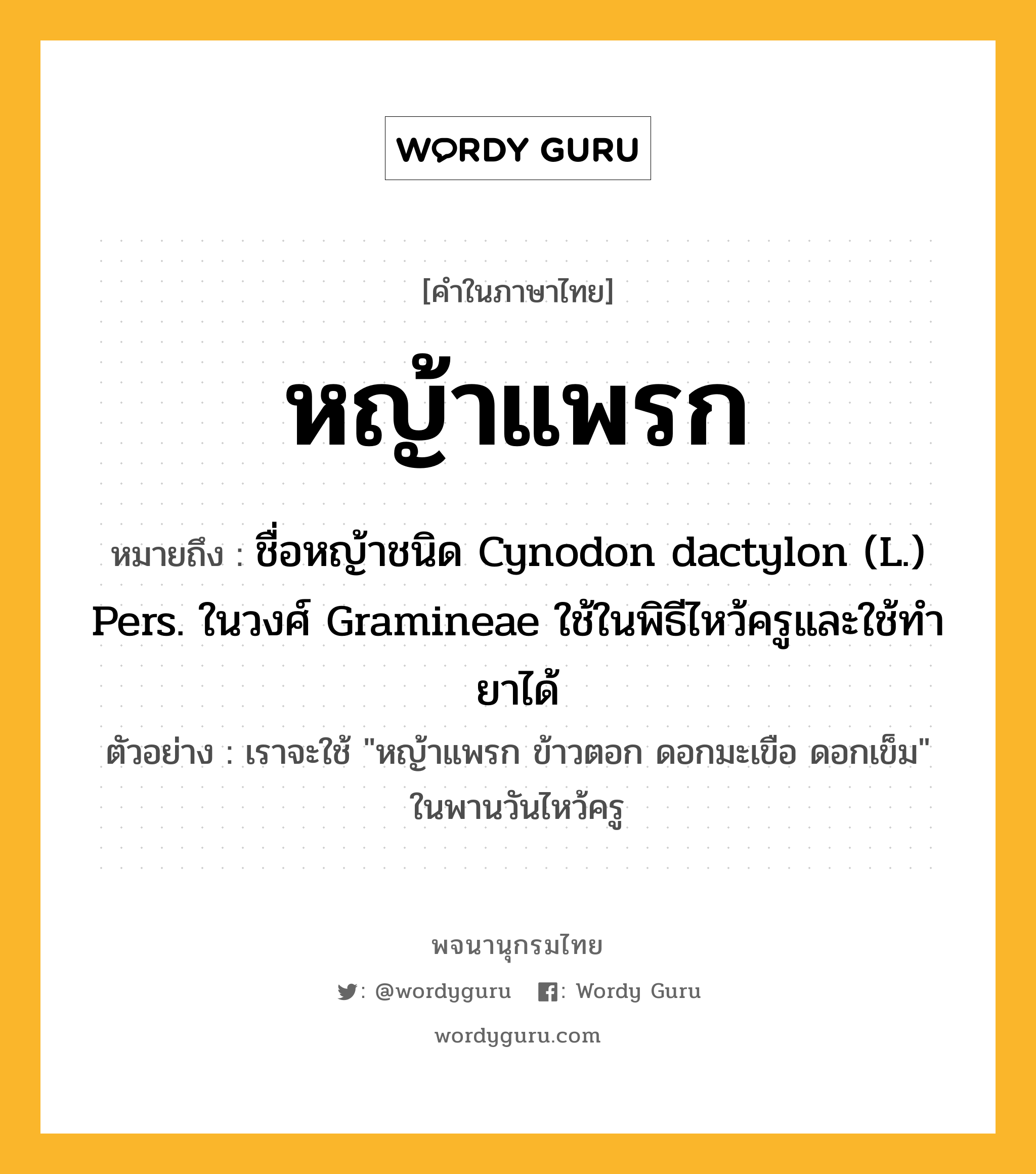 หญ้าแพรก หมายถึงอะไร?, คำในภาษาไทย หญ้าแพรก หมายถึง ชื่อหญ้าชนิด Cynodon dactylon (L.) Pers. ในวงศ์ Gramineae ใช้ในพิธีไหว้ครูและใช้ทำยาได้ ประเภท คำนาม ตัวอย่าง เราจะใช้ &#34;หญ้าแพรก ข้าวตอก ดอกมะเขือ ดอกเข็ม&#34; ในพานวันไหว้ครู หมวด คำนาม