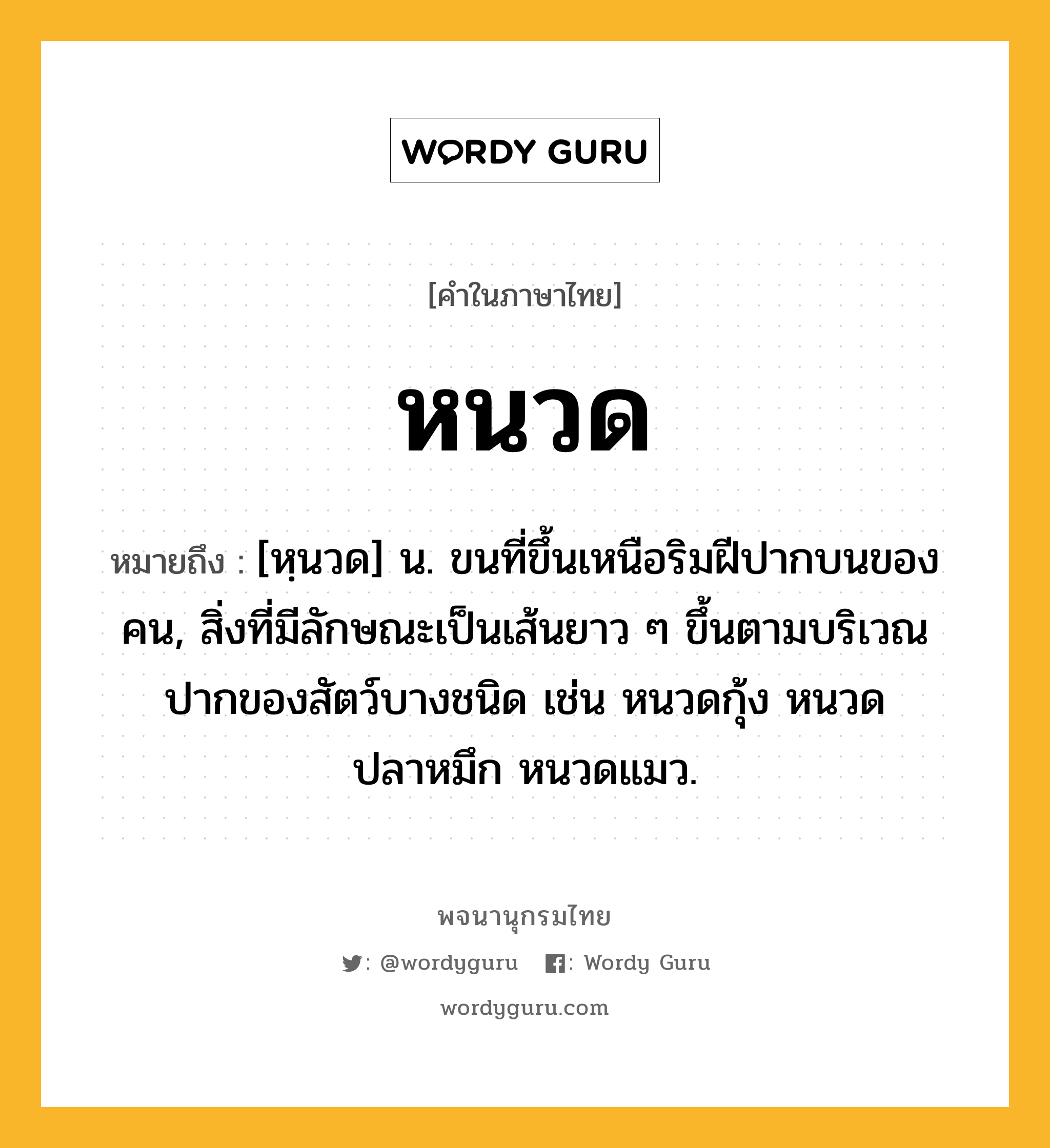 หนวด หมายถึงอะไร?, คำในภาษาไทย หนวด หมายถึง [หฺนวด] น. ขนที่ขึ้นเหนือริมฝีปากบนของคน, สิ่งที่มีลักษณะเป็นเส้นยาว ๆ ขึ้นตามบริเวณปากของสัตว์บางชนิด เช่น หนวดกุ้ง หนวดปลาหมึก หนวดแมว.