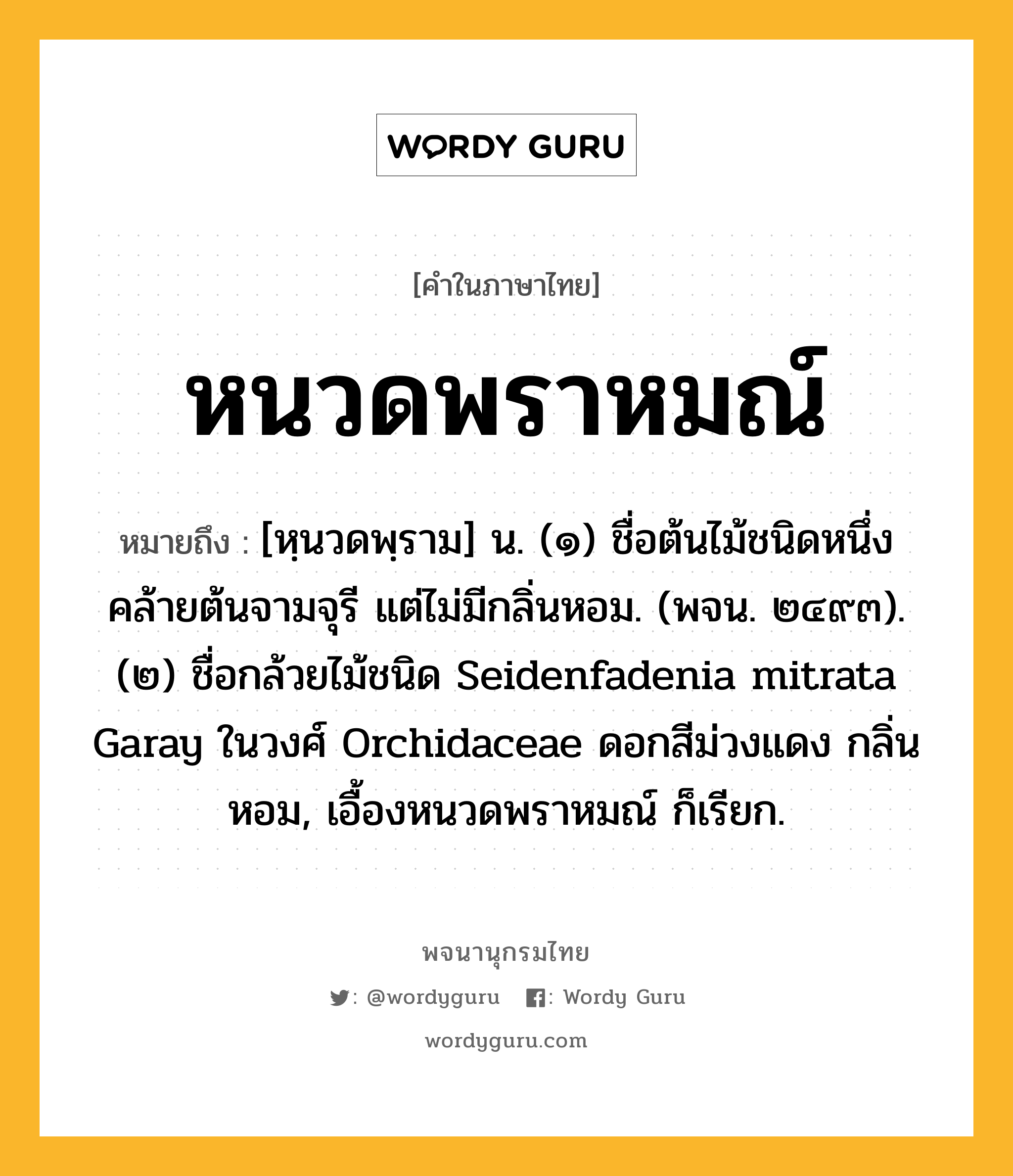 หนวดพราหมณ์ หมายถึงอะไร?, คำในภาษาไทย หนวดพราหมณ์ หมายถึง [หฺนวดพฺราม] น. (๑) ชื่อต้นไม้ชนิดหนึ่งคล้ายต้นจามจุรี แต่ไม่มีกลิ่นหอม. (พจน. ๒๔๙๓). (๒) ชื่อกล้วยไม้ชนิด Seidenfadenia mitrata Garay ในวงศ์ Orchidaceae ดอกสีม่วงแดง กลิ่นหอม, เอื้องหนวดพราหมณ์ ก็เรียก.