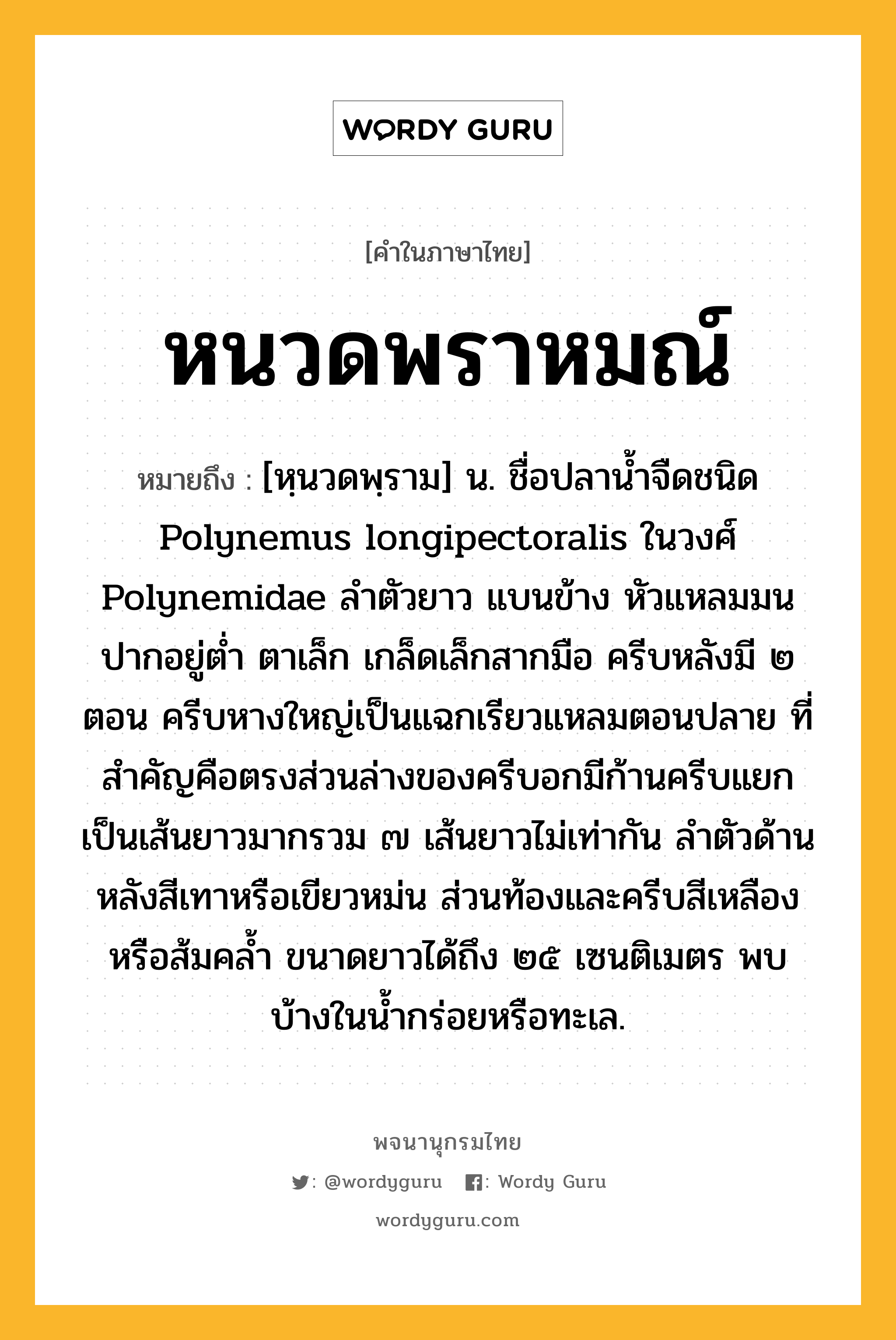 หนวดพราหมณ์ หมายถึงอะไร?, คำในภาษาไทย หนวดพราหมณ์ หมายถึง [หฺนวดพฺราม] น. ชื่อปลานํ้าจืดชนิด Polynemus longipectoralis ในวงศ์ Polynemidae ลําตัวยาว แบนข้าง หัวแหลมมน ปากอยู่ตํ่า ตาเล็ก เกล็ดเล็กสากมือ ครีบหลังมี ๒ ตอน ครีบหางใหญ่เป็นแฉกเรียวแหลมตอนปลาย ที่สําคัญคือตรงส่วนล่างของครีบอกมีก้านครีบแยกเป็นเส้นยาวมากรวม ๗ เส้นยาวไม่เท่ากัน ลําตัวด้านหลังสีเทาหรือเขียวหม่น ส่วนท้องและครีบสีเหลืองหรือส้มคลํ้า ขนาดยาวได้ถึง ๒๕ เซนติเมตร พบบ้างในนํ้ากร่อยหรือทะเล.