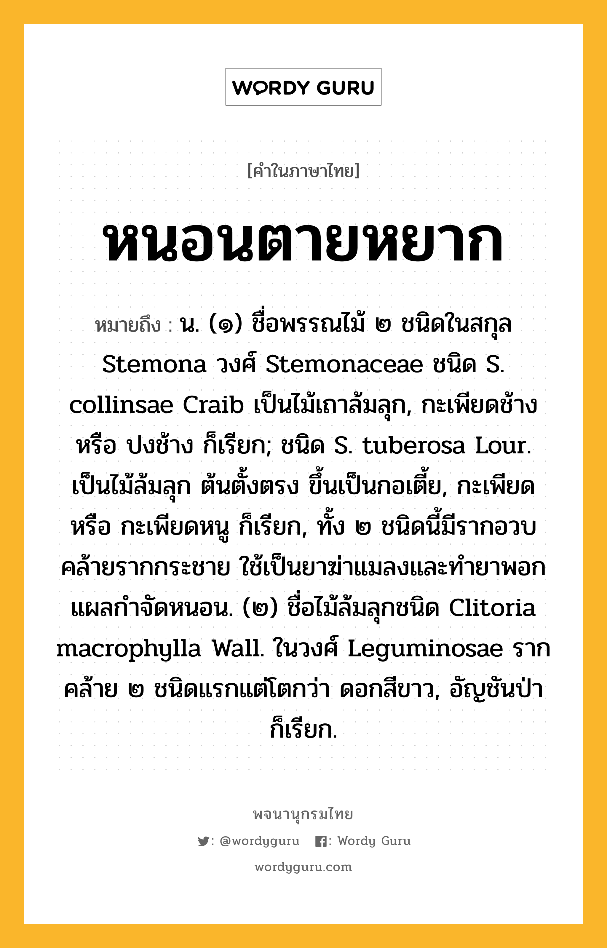 หนอนตายหยาก หมายถึงอะไร?, คำในภาษาไทย หนอนตายหยาก หมายถึง น. (๑) ชื่อพรรณไม้ ๒ ชนิดในสกุล Stemona วงศ์ Stemonaceae ชนิด S. collinsae Craib เป็นไม้เถาล้มลุก, กะเพียดช้าง หรือ ปงช้าง ก็เรียก; ชนิด S. tuberosa Lour. เป็นไม้ล้มลุก ต้นตั้งตรง ขึ้นเป็นกอเตี้ย, กะเพียด หรือ กะเพียดหนู ก็เรียก, ทั้ง ๒ ชนิดนี้มีรากอวบคล้ายรากกระชาย ใช้เป็นยาฆ่าแมลงและทํายาพอกแผลกําจัดหนอน. (๒) ชื่อไม้ล้มลุกชนิด Clitoria macrophylla Wall. ในวงศ์ Leguminosae รากคล้าย ๒ ชนิดแรกแต่โตกว่า ดอกสีขาว, อัญชันป่า ก็เรียก.