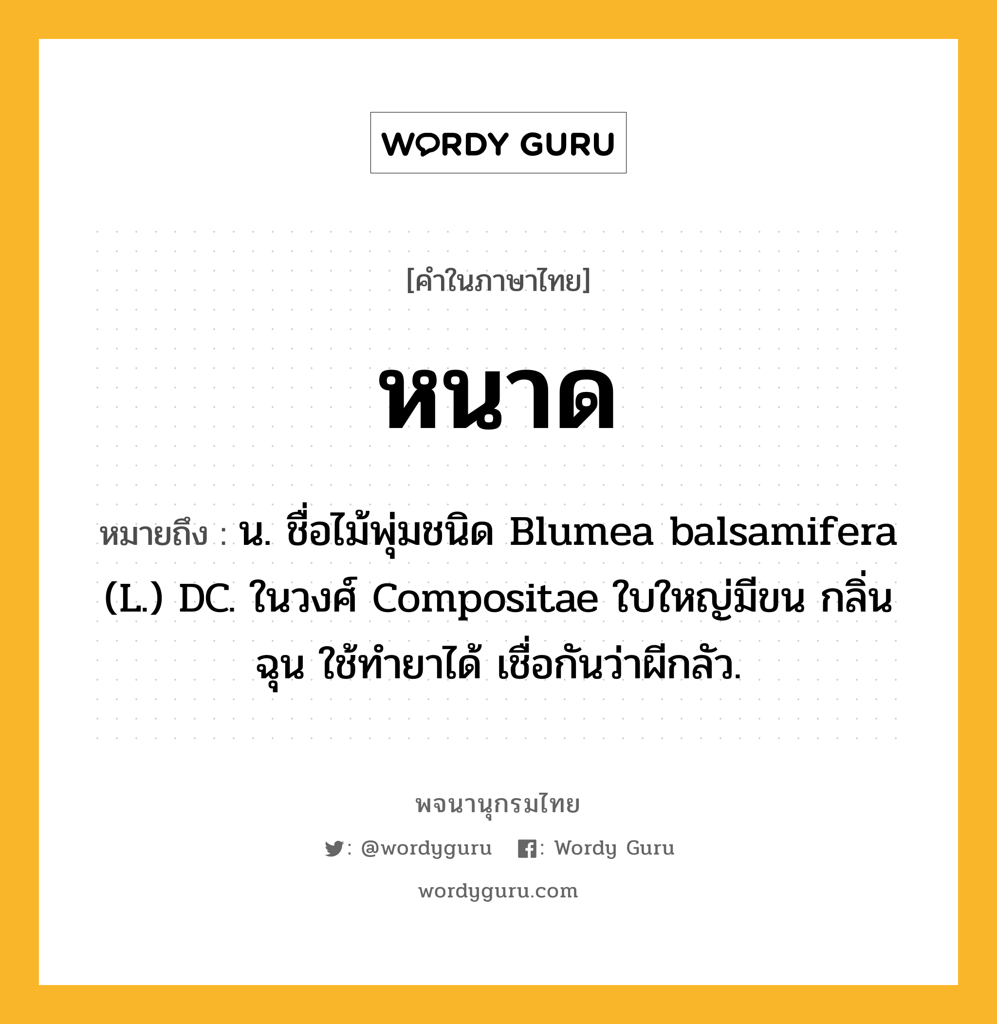 หนาด หมายถึงอะไร?, คำในภาษาไทย หนาด หมายถึง น. ชื่อไม้พุ่มชนิด Blumea balsamifera (L.) DC. ในวงศ์ Compositae ใบใหญ่มีขน กลิ่นฉุน ใช้ทํายาได้ เชื่อกันว่าผีกลัว.