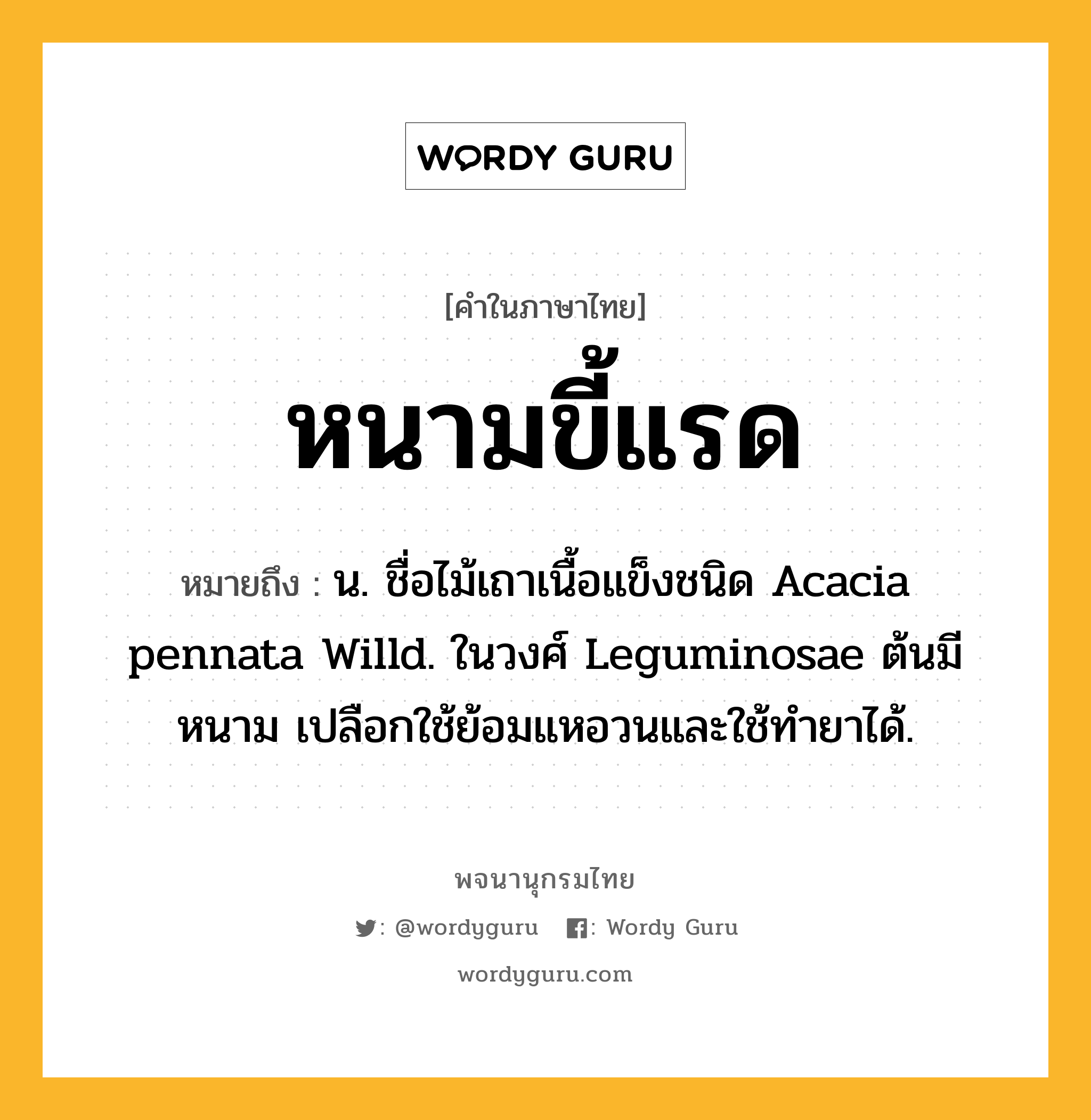 หนามขี้แรด ความหมาย หมายถึงอะไร?, คำในภาษาไทย หนามขี้แรด หมายถึง น. ชื่อไม้เถาเนื้อแข็งชนิด Acacia pennata Willd. ในวงศ์ Leguminosae ต้นมีหนาม เปลือกใช้ย้อมแหอวนและใช้ทํายาได้.