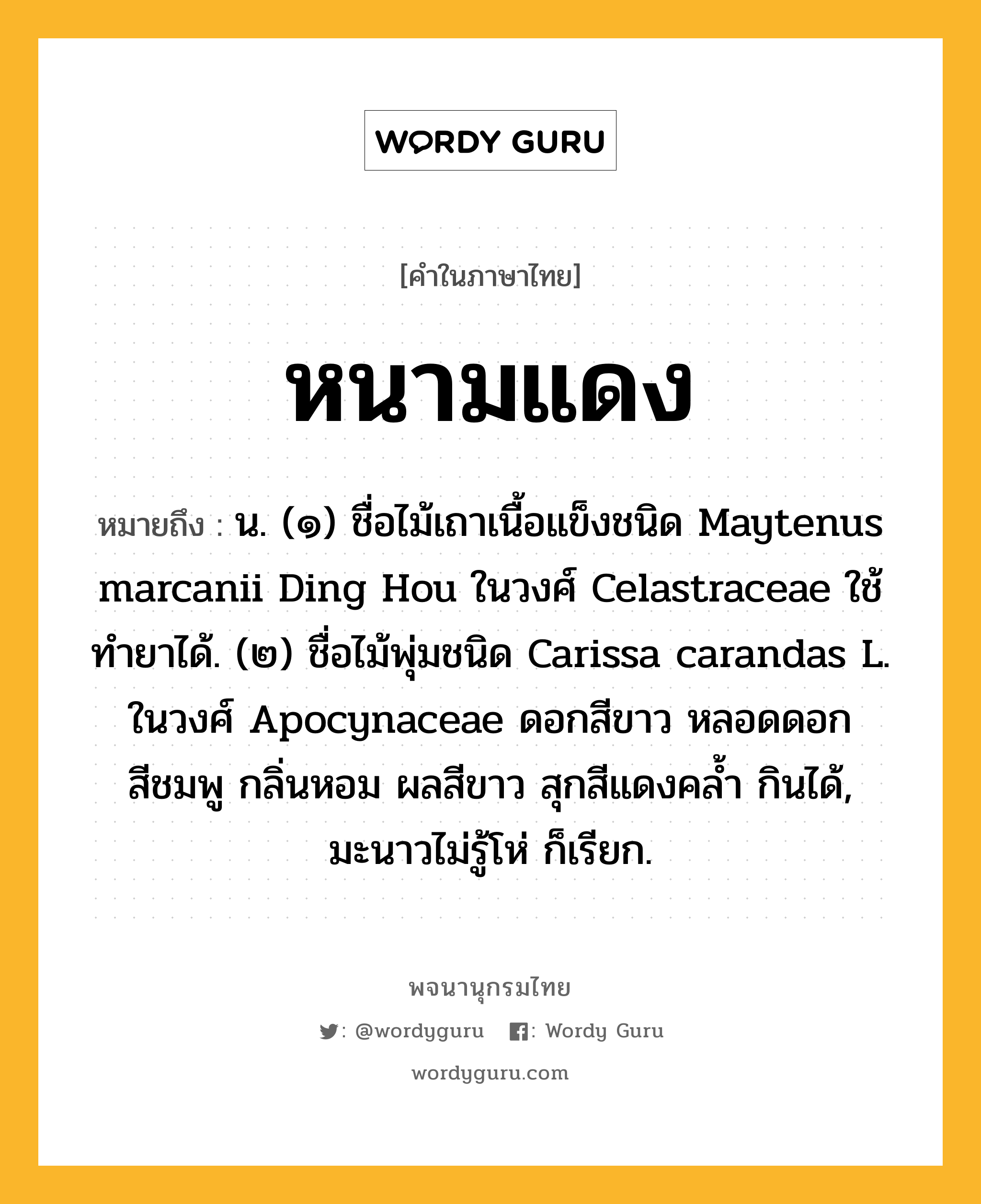 หนามแดง ความหมาย หมายถึงอะไร?, คำในภาษาไทย หนามแดง หมายถึง น. (๑) ชื่อไม้เถาเนื้อแข็งชนิด Maytenus marcanii Ding Hou ในวงศ์ Celastraceae ใช้ทํายาได้. (๒) ชื่อไม้พุ่มชนิด Carissa carandas L. ในวงศ์ Apocynaceae ดอกสีขาว หลอดดอกสีชมพู กลิ่นหอม ผลสีขาว สุกสีแดงคล้ำ กินได้, มะนาวไม่รู้โห่ ก็เรียก.