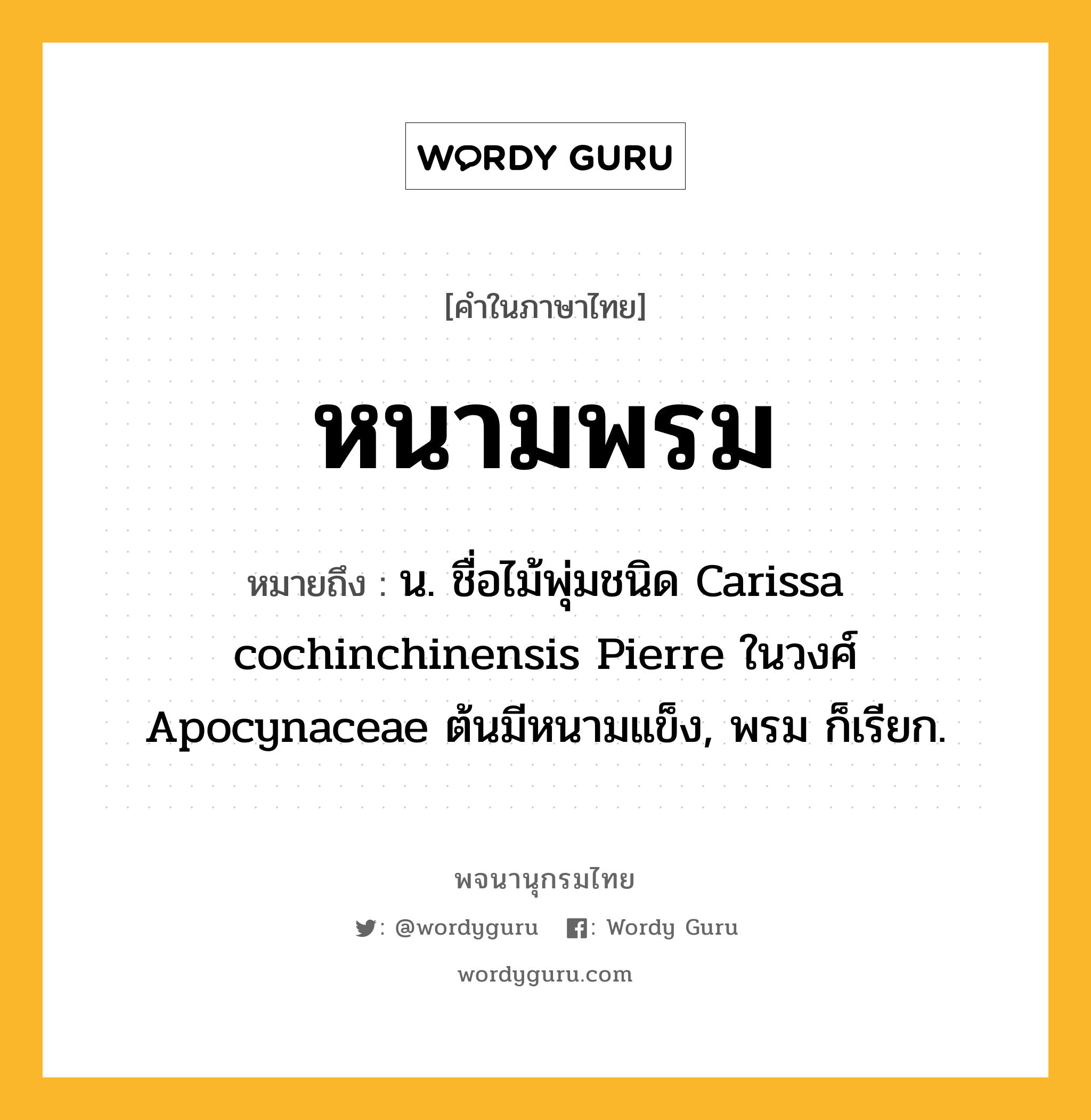 หนามพรม หมายถึงอะไร?, คำในภาษาไทย หนามพรม หมายถึง น. ชื่อไม้พุ่มชนิด Carissa cochinchinensis Pierre ในวงศ์ Apocynaceae ต้นมีหนามแข็ง, พรม ก็เรียก.