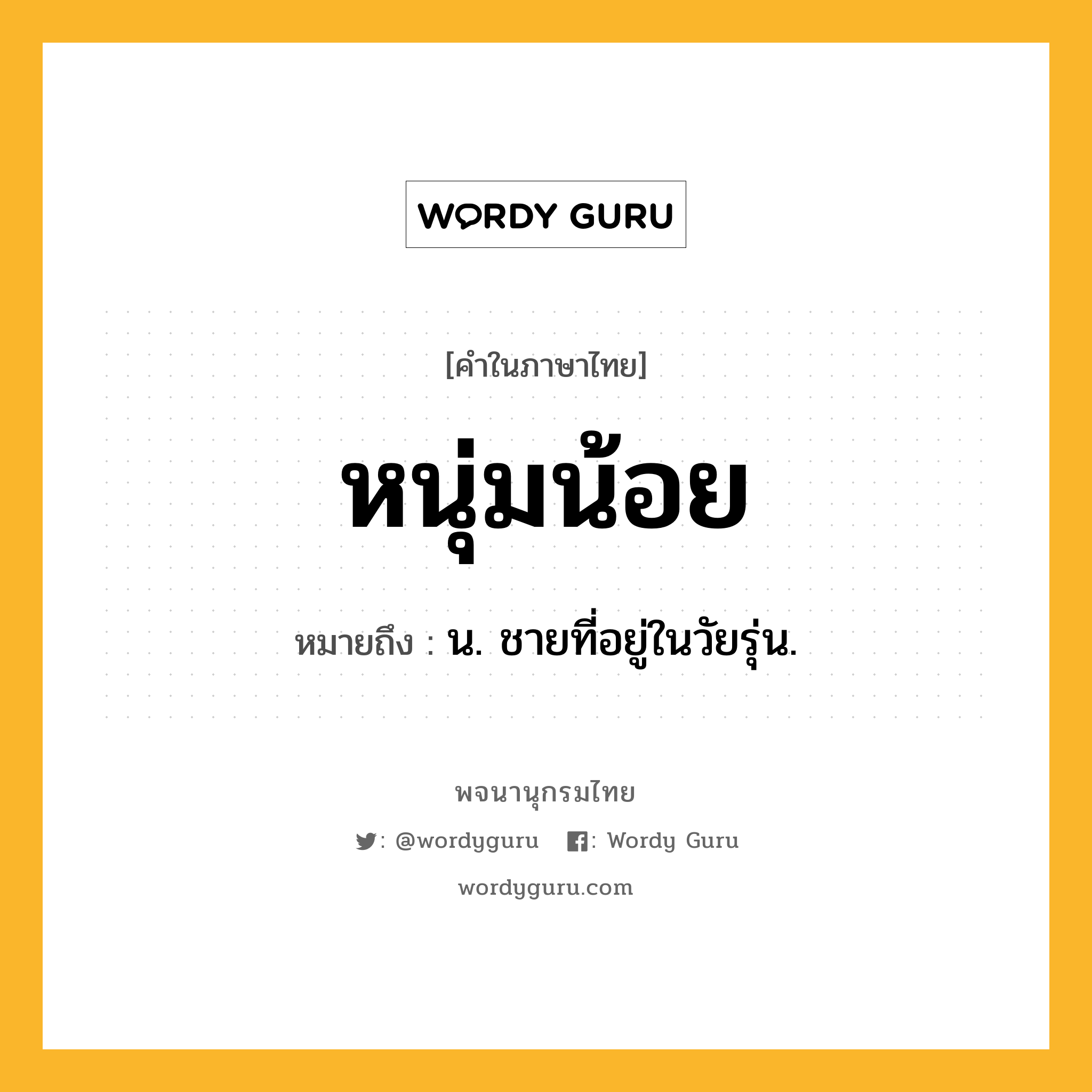 หนุ่มน้อย หมายถึงอะไร?, คำในภาษาไทย หนุ่มน้อย หมายถึง น. ชายที่อยู่ในวัยรุ่น.