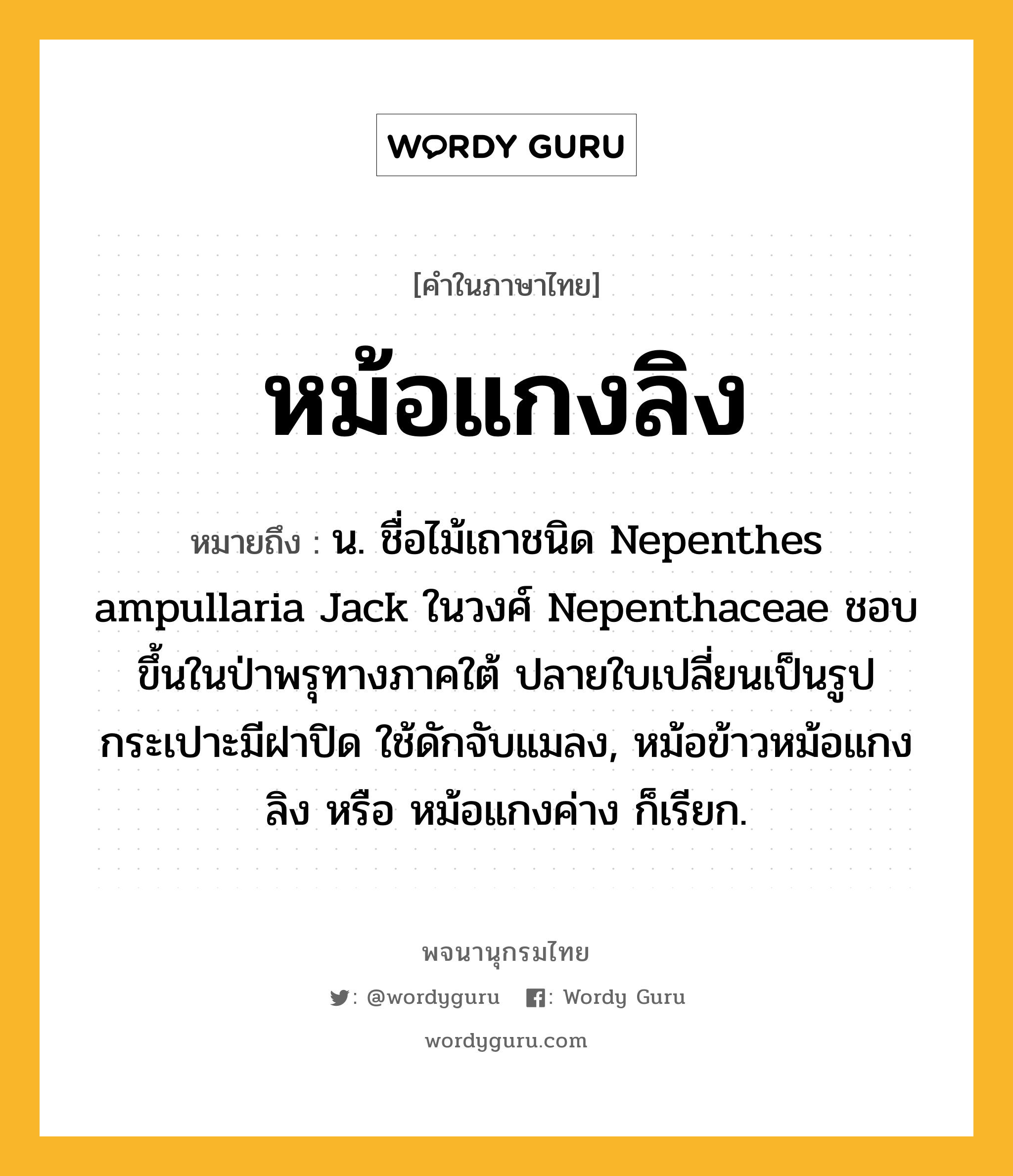 หม้อแกงลิง หมายถึงอะไร?, คำในภาษาไทย หม้อแกงลิง หมายถึง น. ชื่อไม้เถาชนิด Nepenthes ampullaria Jack ในวงศ์ Nepenthaceae ชอบขึ้นในป่าพรุทางภาคใต้ ปลายใบเปลี่ยนเป็นรูปกระเปาะมีฝาปิด ใช้ดักจับแมลง, หม้อข้าวหม้อแกงลิง หรือ หม้อแกงค่าง ก็เรียก.