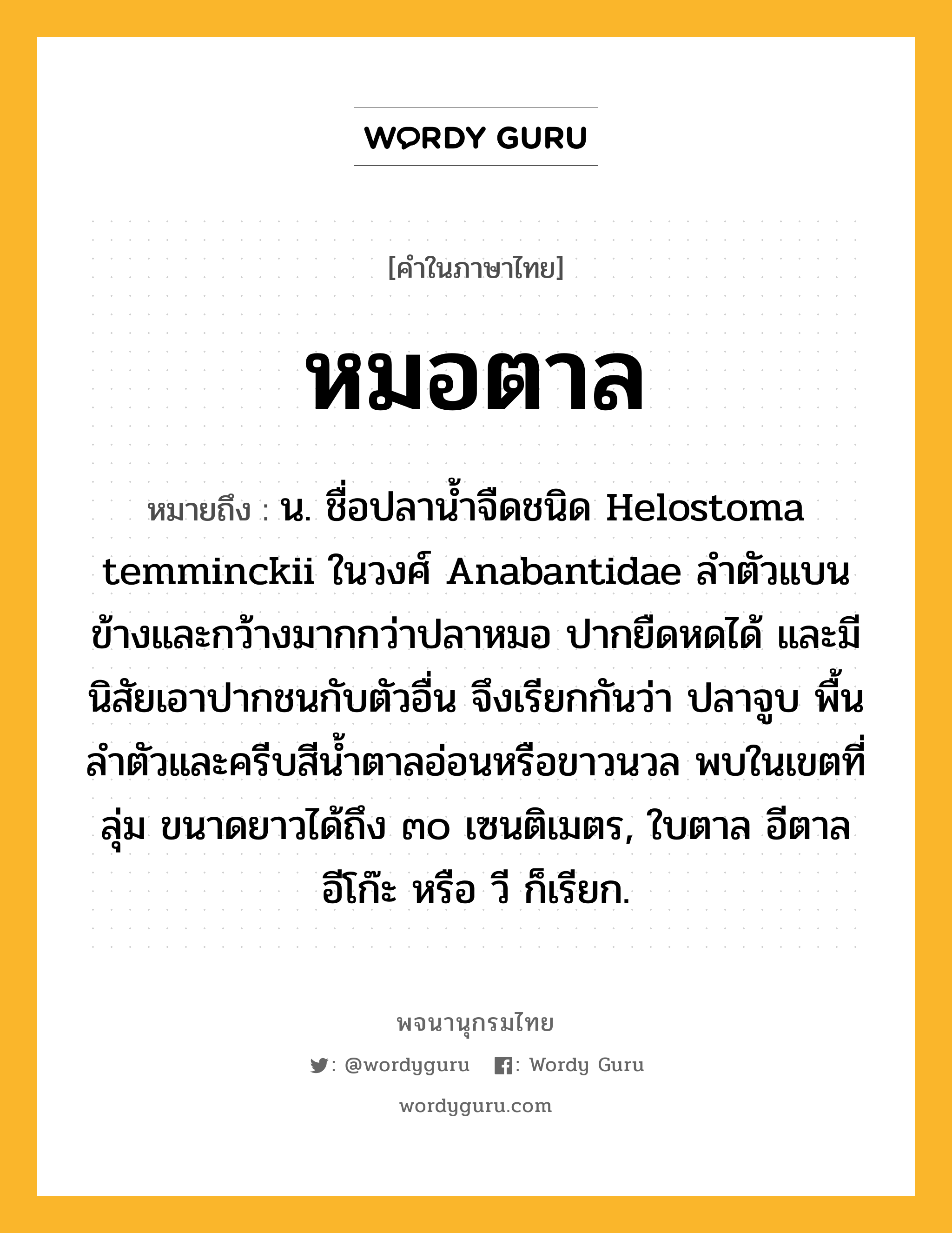 หมอตาล หมายถึงอะไร?, คำในภาษาไทย หมอตาล หมายถึง น. ชื่อปลานํ้าจืดชนิด Helostoma temminckii ในวงศ์ Anabantidae ลําตัวแบนข้างและกว้างมากกว่าปลาหมอ ปากยืดหดได้ และมีนิสัยเอาปากชนกับตัวอื่น จึงเรียกกันว่า ปลาจูบ พื้นลําตัวและครีบสีนํ้าตาลอ่อนหรือขาวนวล พบในเขตที่ลุ่ม ขนาดยาวได้ถึง ๓๐ เซนติเมตร, ใบตาล อีตาล อีโก๊ะ หรือ วี ก็เรียก.