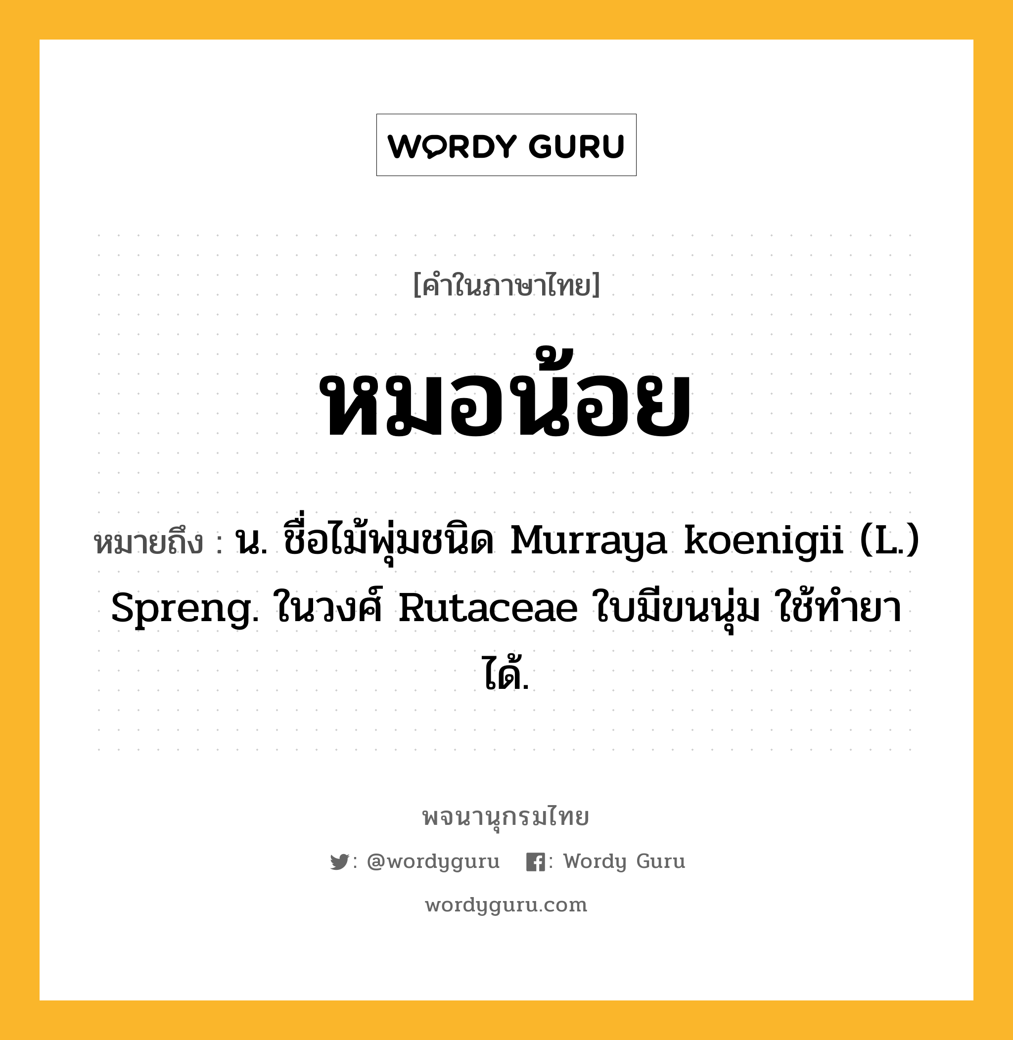 หมอน้อย หมายถึงอะไร?, คำในภาษาไทย หมอน้อย หมายถึง น. ชื่อไม้พุ่มชนิด Murraya koenigii (L.) Spreng. ในวงศ์ Rutaceae ใบมีขนนุ่ม ใช้ทํายาได้.