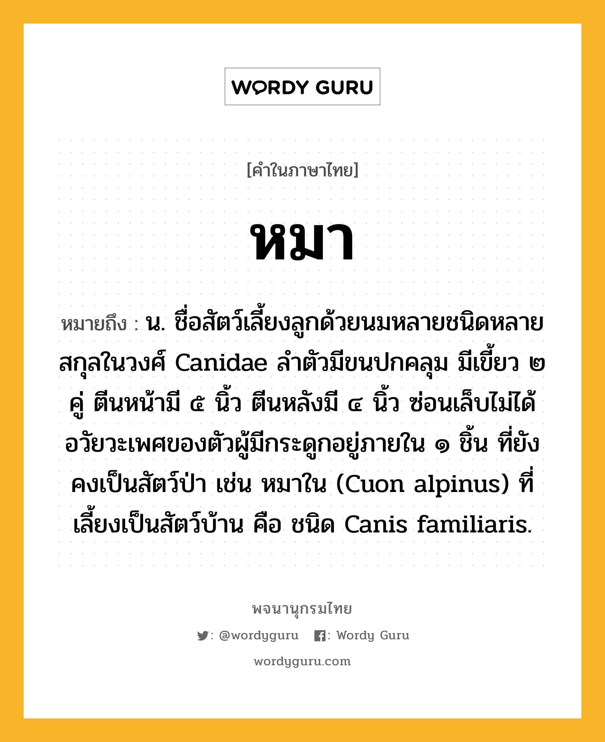 หมา หมายถึงอะไร?, คำในภาษาไทย หมา หมายถึง น. ชื่อสัตว์เลี้ยงลูกด้วยนมหลายชนิดหลายสกุลในวงศ์ Canidae ลําตัวมีขนปกคลุม มีเขี้ยว ๒ คู่ ตีนหน้ามี ๕ นิ้ว ตีนหลังมี ๔ นิ้ว ซ่อนเล็บไม่ได้ อวัยวะเพศของตัวผู้มีกระดูกอยู่ภายใน ๑ ชิ้น ที่ยังคงเป็นสัตว์ป่า เช่น หมาใน (Cuon alpinus) ที่เลี้ยงเป็นสัตว์บ้าน คือ ชนิด Canis familiaris.