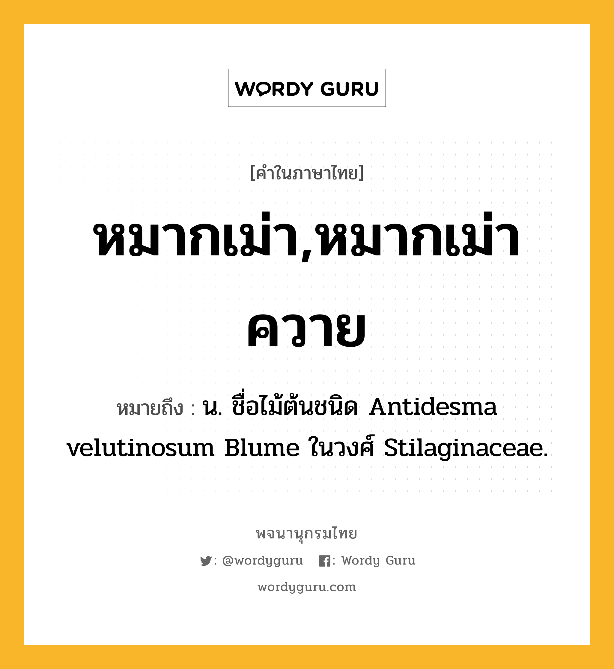 หมากเม่า,หมากเม่าควาย ความหมาย หมายถึงอะไร?, คำในภาษาไทย หมากเม่า,หมากเม่าควาย หมายถึง น. ชื่อไม้ต้นชนิด Antidesma velutinosum Blume ในวงศ์ Stilaginaceae.