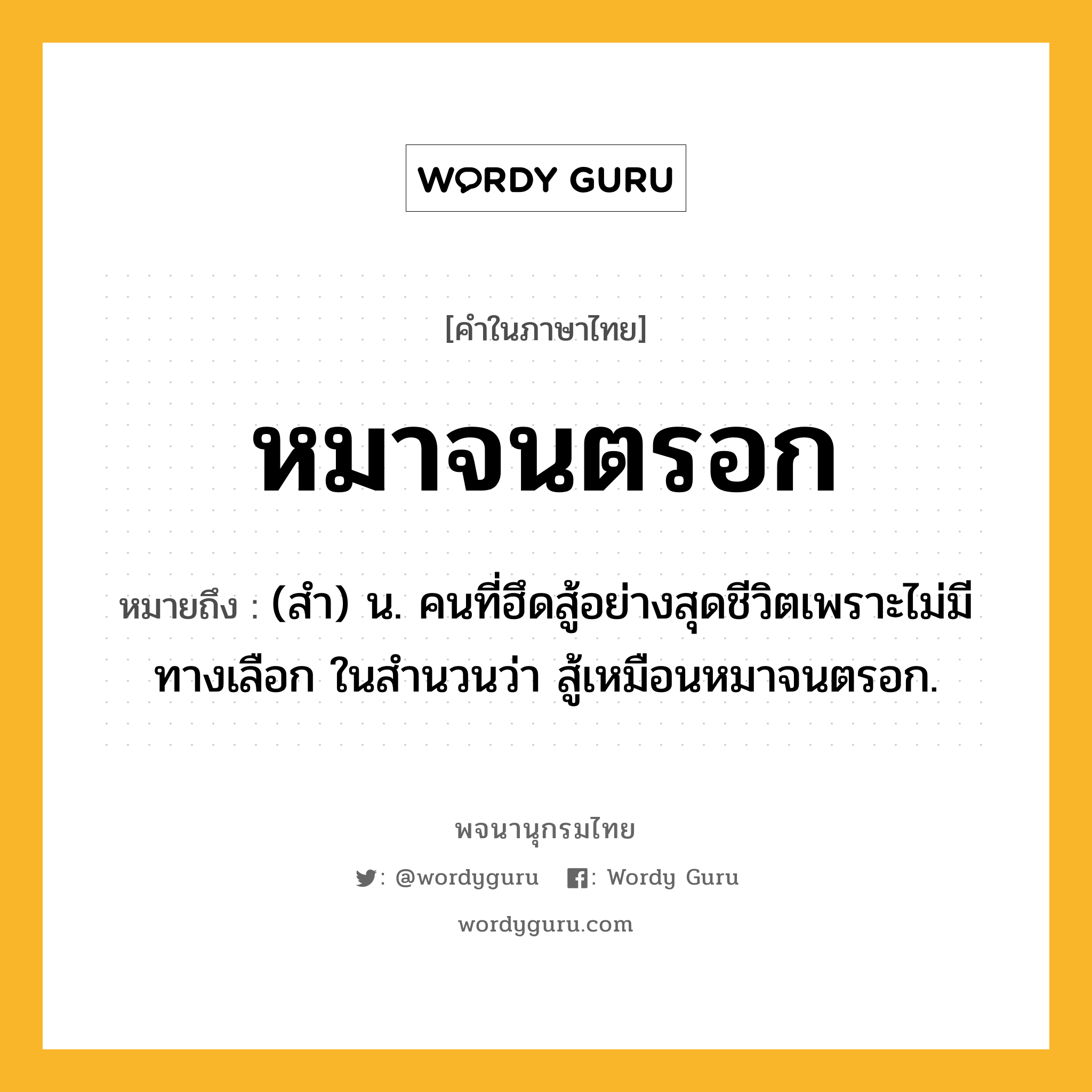 หมาจนตรอก หมายถึงอะไร?, คำในภาษาไทย หมาจนตรอก หมายถึง (สำ) น. คนที่ฮึดสู้อย่างสุดชีวิตเพราะไม่มีทางเลือก ในสำนวนว่า สู้เหมือนหมาจนตรอก.