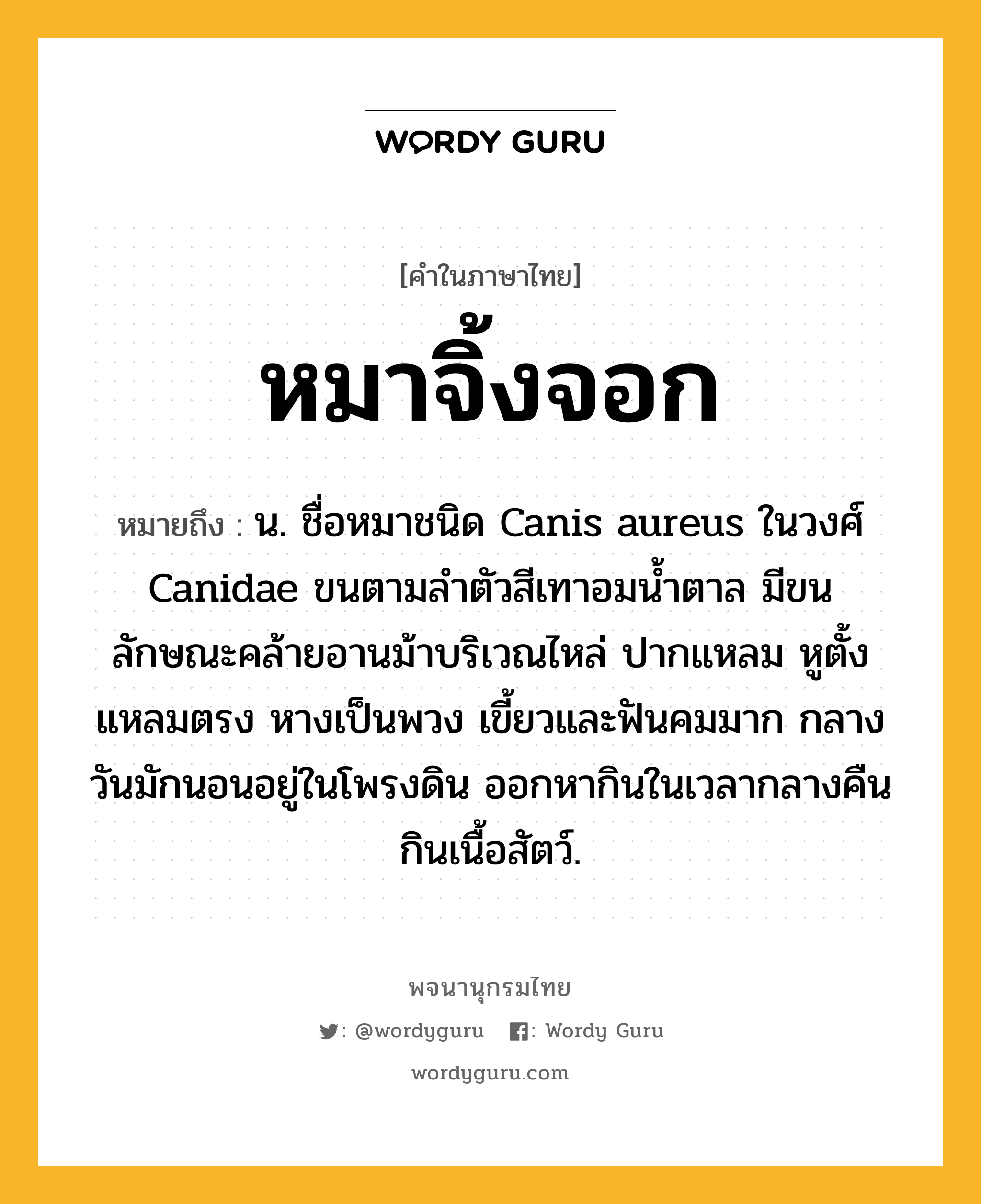 หมาจิ้งจอก ความหมาย หมายถึงอะไร?, คำในภาษาไทย หมาจิ้งจอก หมายถึง น. ชื่อหมาชนิด Canis aureus ในวงศ์ Canidae ขนตามลําตัวสีเทาอมนํ้าตาล มีขนลักษณะคล้ายอานม้าบริเวณไหล่ ปากแหลม หูตั้งแหลมตรง หางเป็นพวง เขี้ยวและฟันคมมาก กลางวันมักนอนอยู่ในโพรงดิน ออกหากินในเวลากลางคืน กินเนื้อสัตว์.