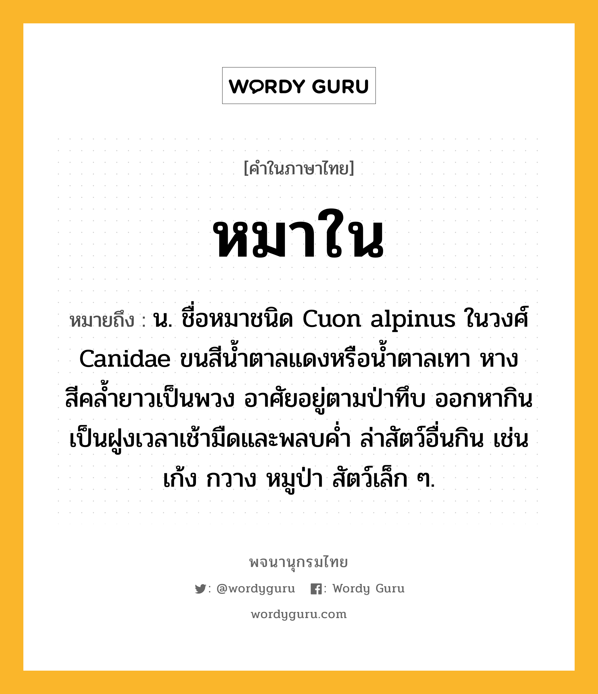 หมาใน หมายถึงอะไร?, คำในภาษาไทย หมาใน หมายถึง น. ชื่อหมาชนิด Cuon alpinus ในวงศ์ Canidae ขนสีน้ำตาลแดงหรือน้ำตาลเทา หางสีคลํ้ายาวเป็นพวง อาศัยอยู่ตามป่าทึบ ออกหากินเป็นฝูงเวลาเช้ามืดและพลบคํ่า ล่าสัตว์อื่นกิน เช่น เก้ง กวาง หมูป่า สัตว์เล็ก ๆ.