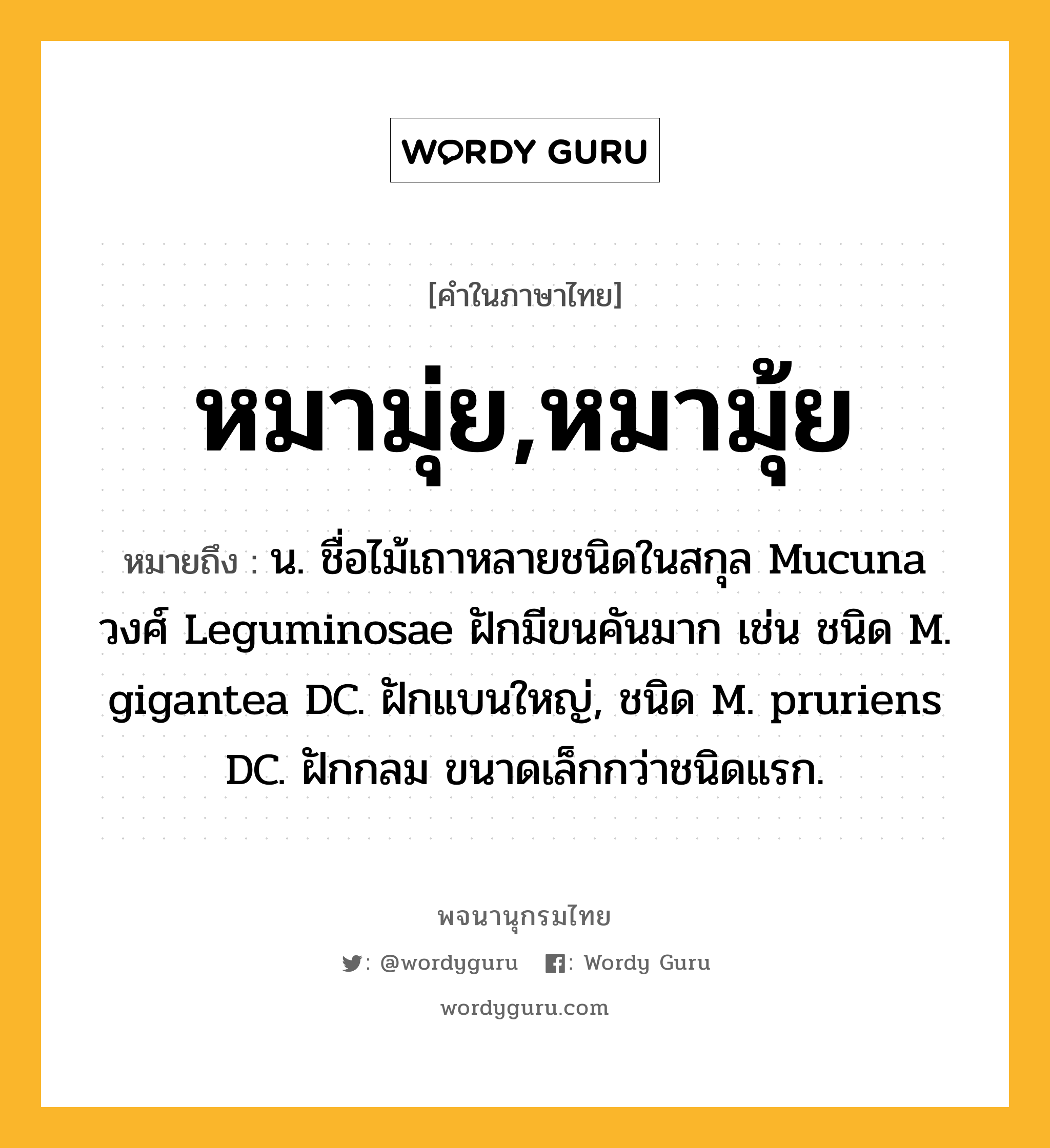 หมามุ่ย,หมามุ้ย หมายถึงอะไร?, คำในภาษาไทย หมามุ่ย,หมามุ้ย หมายถึง น. ชื่อไม้เถาหลายชนิดในสกุล Mucuna วงศ์ Leguminosae ฝักมีขนคันมาก เช่น ชนิด M. gigantea DC. ฝักแบนใหญ่, ชนิด M. pruriens DC. ฝักกลม ขนาดเล็กกว่าชนิดแรก.