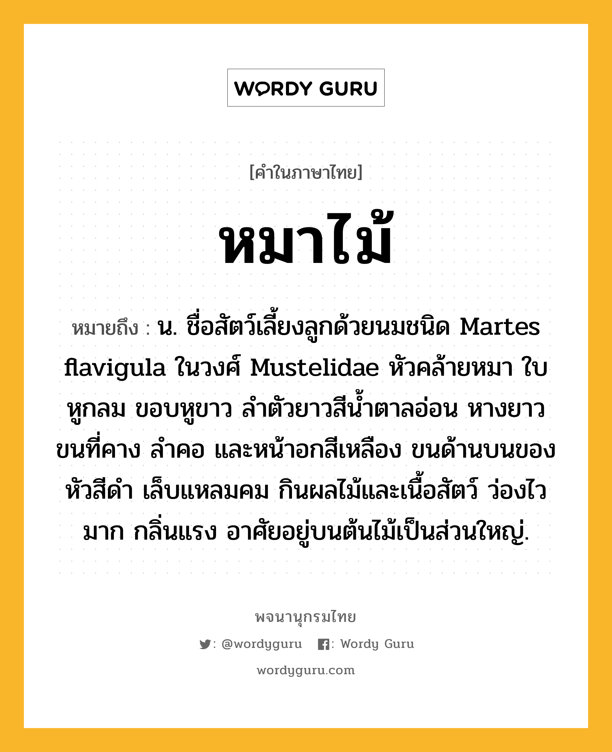 หมาไม้ หมายถึงอะไร?, คำในภาษาไทย หมาไม้ หมายถึง น. ชื่อสัตว์เลี้ยงลูกด้วยนมชนิด Martes flavigula ในวงศ์ Mustelidae หัวคล้ายหมา ใบหูกลม ขอบหูขาว ลําตัวยาวสีนํ้าตาลอ่อน หางยาว ขนที่คาง ลําคอ และหน้าอกสีเหลือง ขนด้านบนของหัวสีดํา เล็บแหลมคม กินผลไม้และเนื้อสัตว์ ว่องไวมาก กลิ่นแรง อาศัยอยู่บนต้นไม้เป็นส่วนใหญ่.