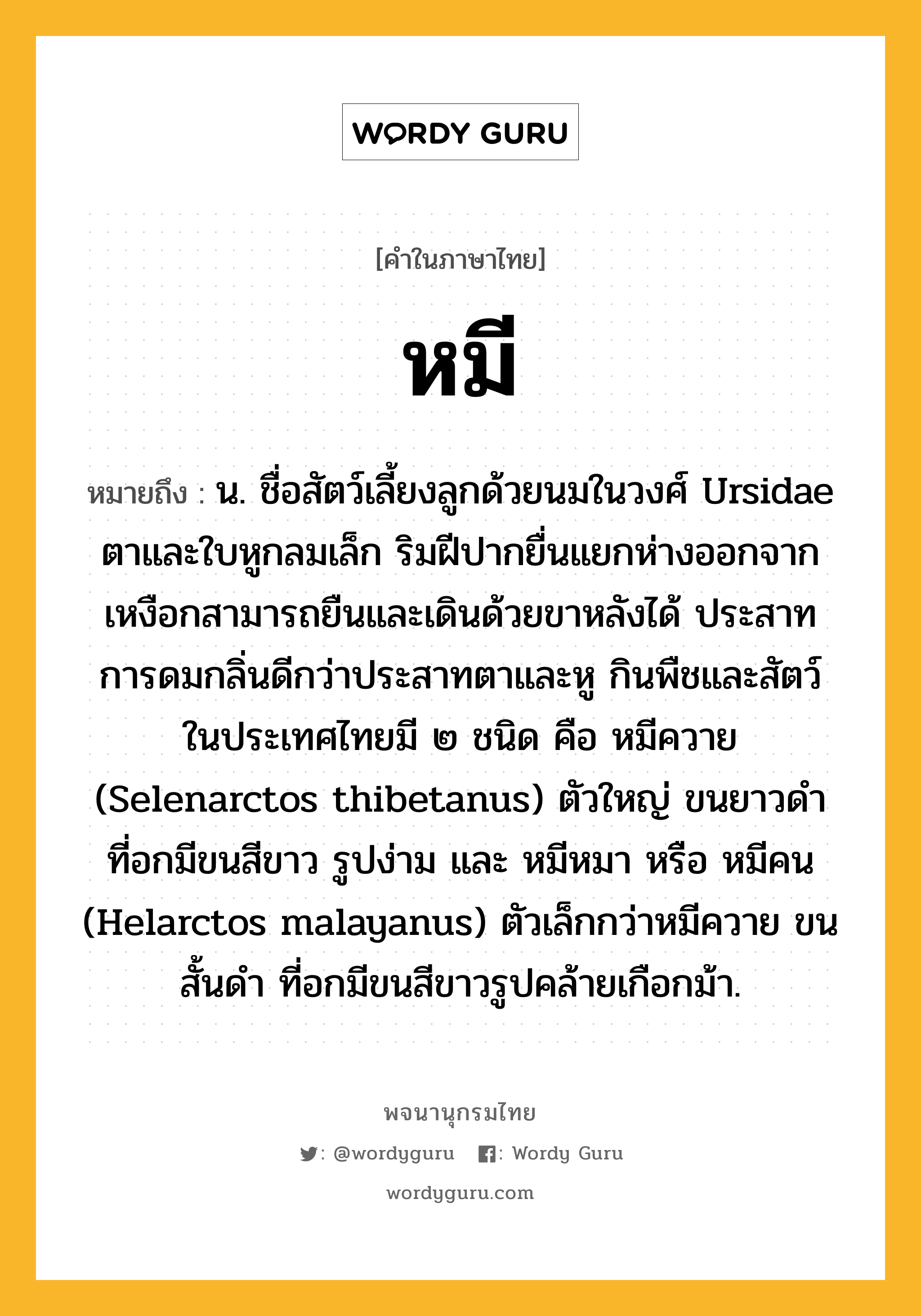 หมี ความหมาย หมายถึงอะไร?, คำในภาษาไทย หมี หมายถึง น. ชื่อสัตว์เลี้ยงลูกด้วยนมในวงศ์ Ursidae ตาและใบหูกลมเล็ก ริมฝีปากยื่นแยกห่างออกจากเหงือกสามารถยืนและเดินด้วยขาหลังได้ ประสาทการดมกลิ่นดีกว่าประสาทตาและหู กินพืชและสัตว์ ในประเทศไทยมี ๒ ชนิด คือ หมีควาย (Selenarctos thibetanus) ตัวใหญ่ ขนยาวดํา ที่อกมีขนสีขาว รูปง่าม และ หมีหมา หรือ หมีคน (Helarctos malayanus) ตัวเล็กกว่าหมีควาย ขนสั้นดํา ที่อกมีขนสีขาวรูปคล้ายเกือกม้า.