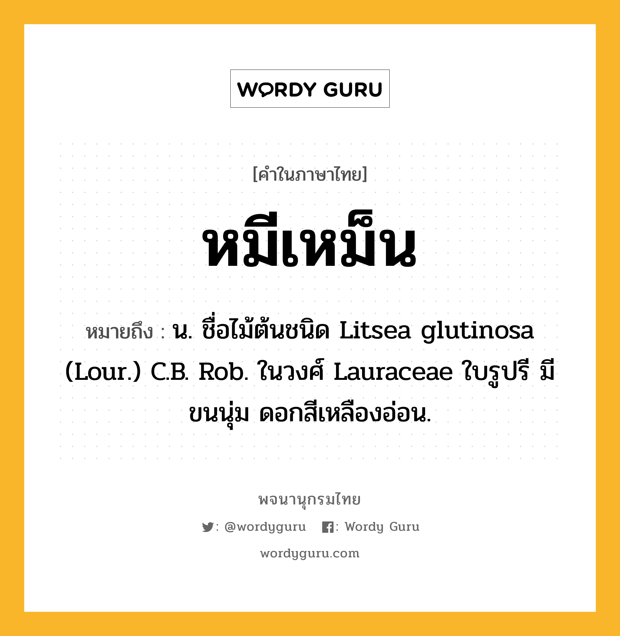 หมีเหม็น ความหมาย หมายถึงอะไร?, คำในภาษาไทย หมีเหม็น หมายถึง น. ชื่อไม้ต้นชนิด Litsea glutinosa (Lour.) C.B. Rob. ในวงศ์ Lauraceae ใบรูปรี มีขนนุ่ม ดอกสีเหลืองอ่อน.