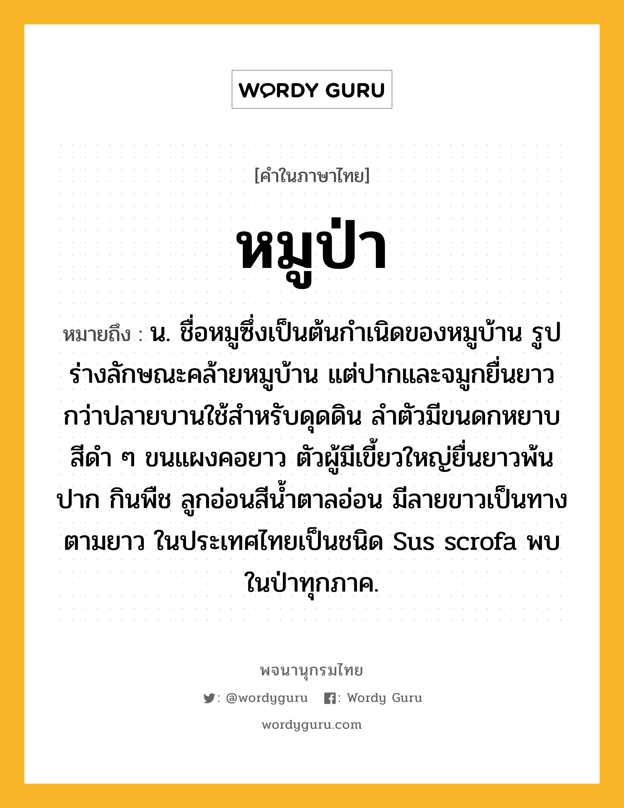 หมูป่า หมายถึงอะไร?, คำในภาษาไทย หมูป่า หมายถึง น. ชื่อหมูซึ่งเป็นต้นกําเนิดของหมูบ้าน รูปร่างลักษณะคล้ายหมูบ้าน แต่ปากและจมูกยื่นยาวกว่าปลายบานใช้สําหรับดุดดิน ลําตัวมีขนดกหยาบสีดํา ๆ ขนแผงคอยาว ตัวผู้มีเขี้ยวใหญ่ยื่นยาวพ้นปาก กินพืช ลูกอ่อนสีนํ้าตาลอ่อน มีลายขาวเป็นทางตามยาว ในประเทศไทยเป็นชนิด Sus scrofa พบในป่าทุกภาค.