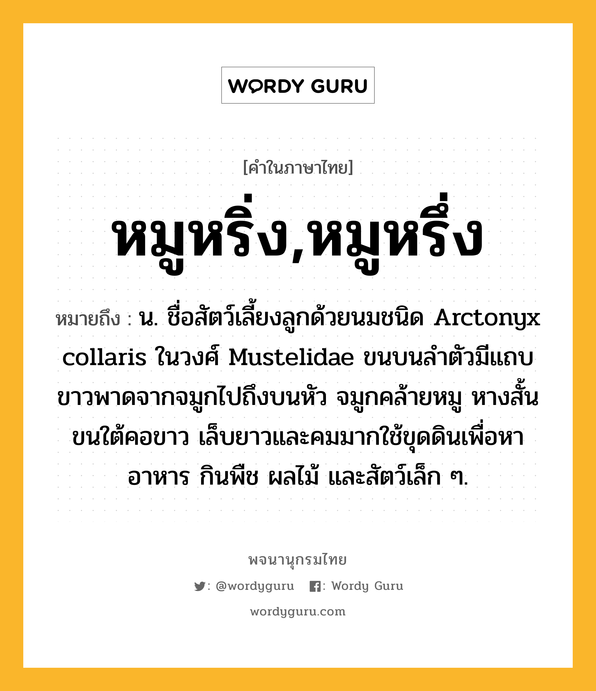 หมูหริ่ง,หมูหรึ่ง หมายถึงอะไร?, คำในภาษาไทย หมูหริ่ง,หมูหรึ่ง หมายถึง น. ชื่อสัตว์เลี้ยงลูกด้วยนมชนิด Arctonyx collaris ในวงศ์ Mustelidae ขนบนลําตัวมีแถบขาวพาดจากจมูกไปถึงบนหัว จมูกคล้ายหมู หางสั้น ขนใต้คอขาว เล็บยาวและคมมากใช้ขุดดินเพื่อหาอาหาร กินพืช ผลไม้ และสัตว์เล็ก ๆ.